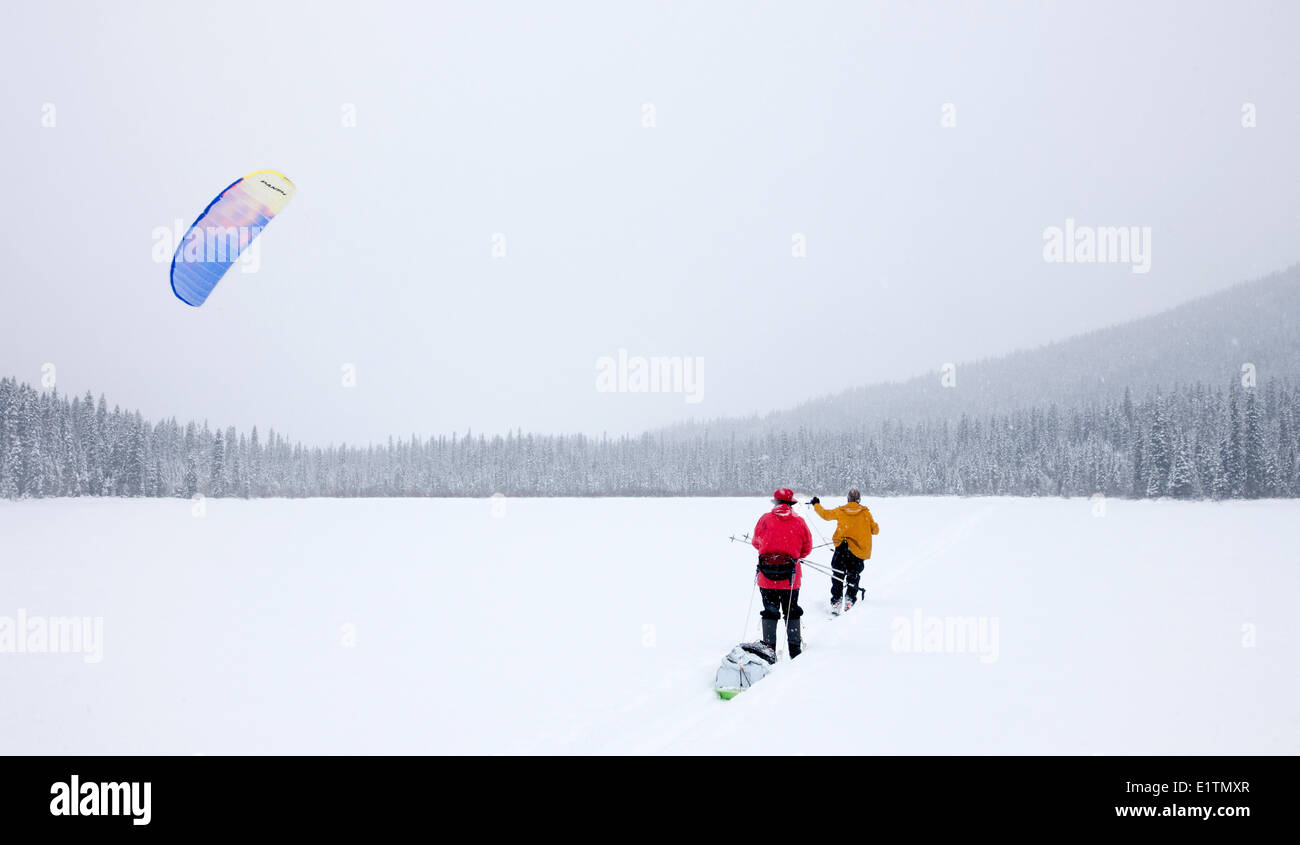 Sci alpinismo, sci di fondo, Bowron Lake Park, British Columbia, Canada; kite sci Foto Stock