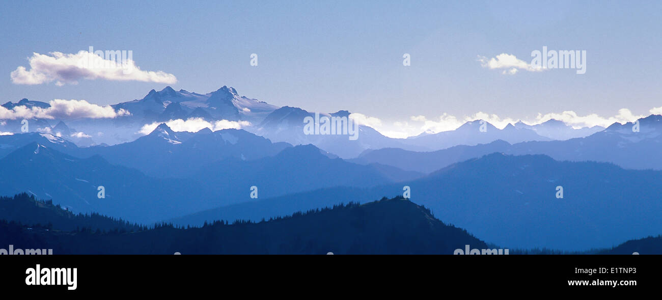 Hurrican Ridge, il Parco Nazionale di Olympic, Washington, Stati Uniti d'America Foto Stock