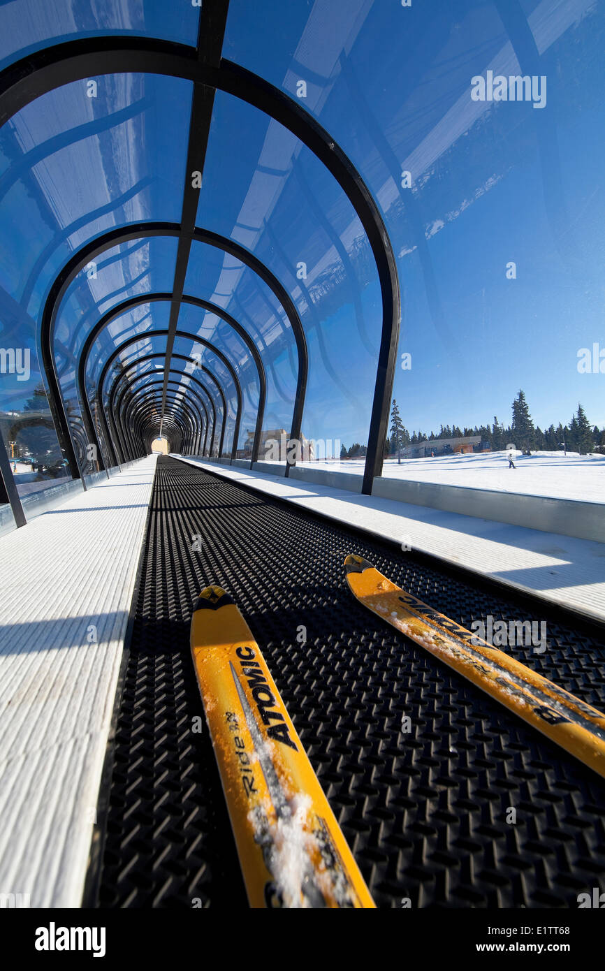 Il recentemente installato Magic Carpet ride a Mt. Washington Courtenay Il Comox Valley Vancouver Island British Columbia Canada. Foto Stock