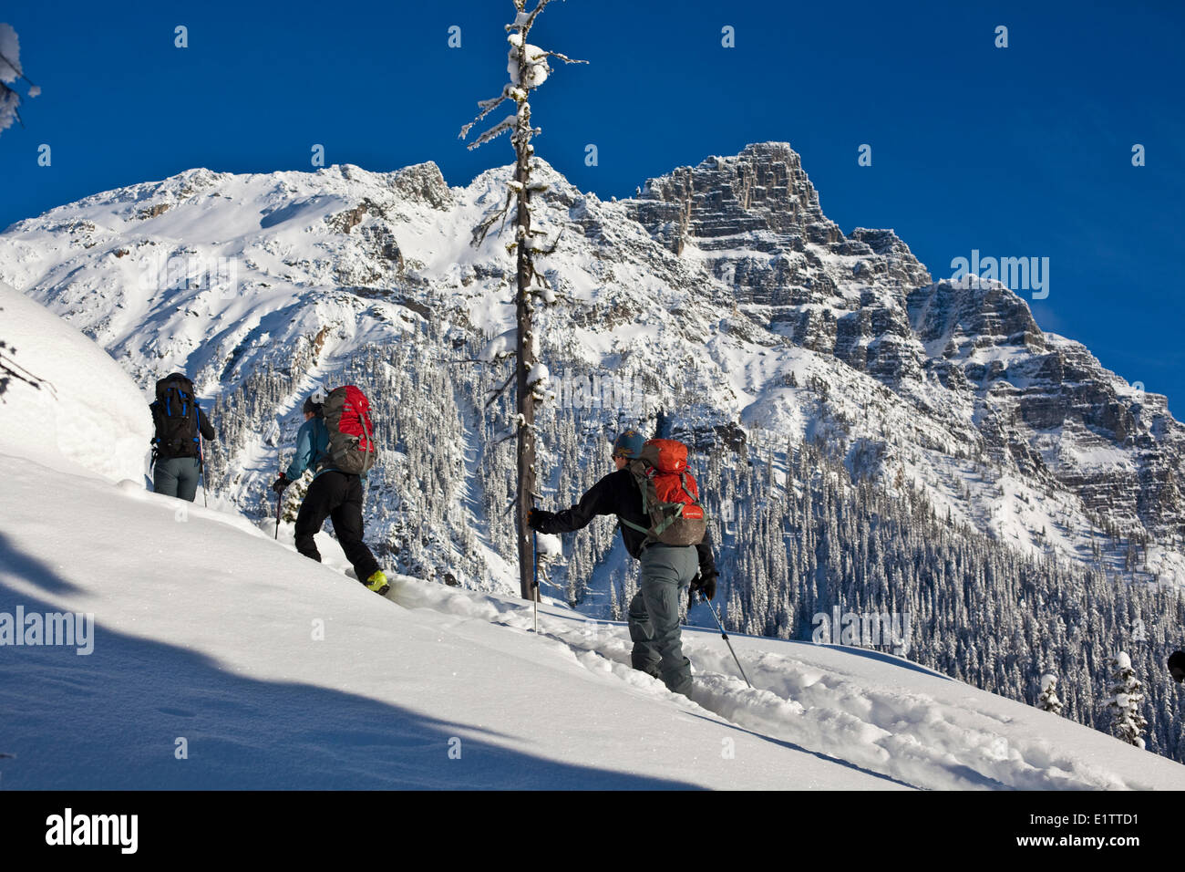 Un gruppo di sci tourer in corrispondenza del Roger Pass, il Parco Nazionale di Glacier, BC Foto Stock