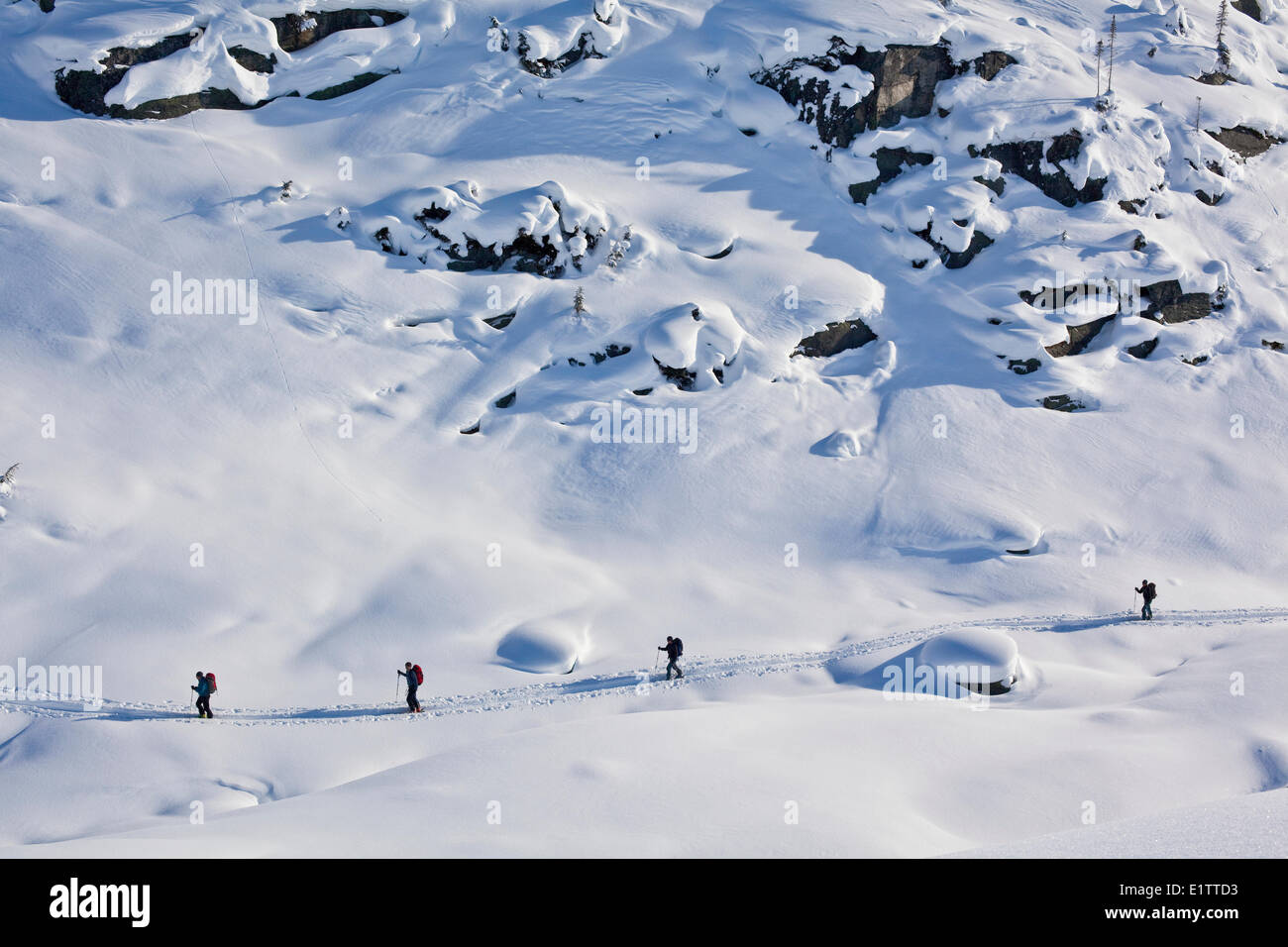 Un gruppo di sci tourer in corrispondenza del Roger Pass, il Parco Nazionale di Glacier, BC Foto Stock