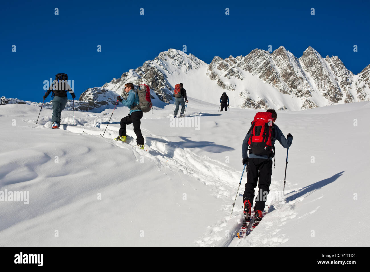Un gruppo di sci tourer a Roger's Pass dirigendosi verso la Svizzera di picchi, il Parco Nazionale di Glacier, BC Foto Stock