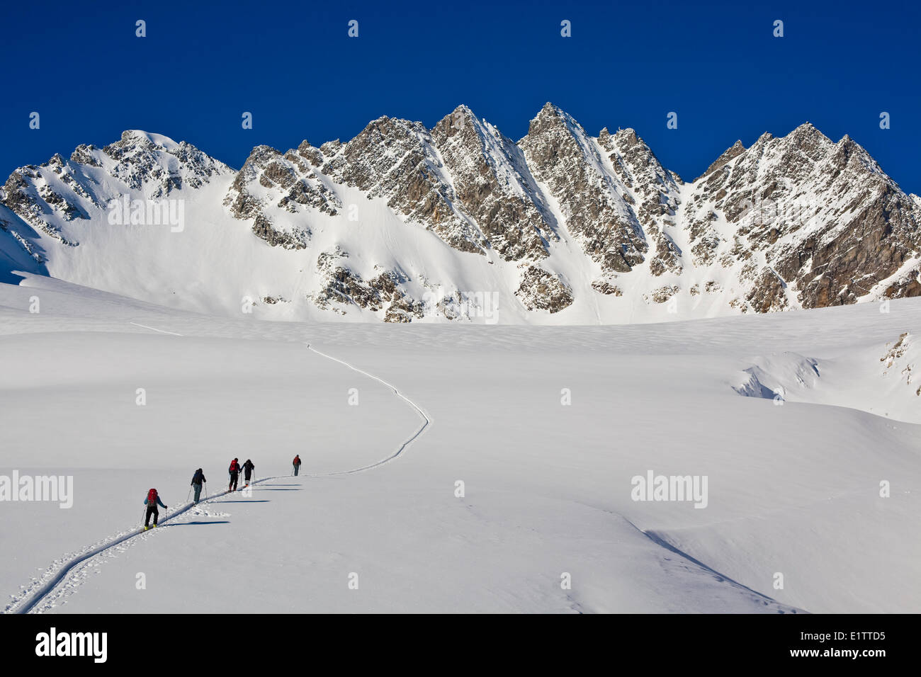 Un gruppo di sci tourer a Roger's Pass dirigendosi verso la Svizzera di picchi, il Parco Nazionale di Glacier, BC Foto Stock