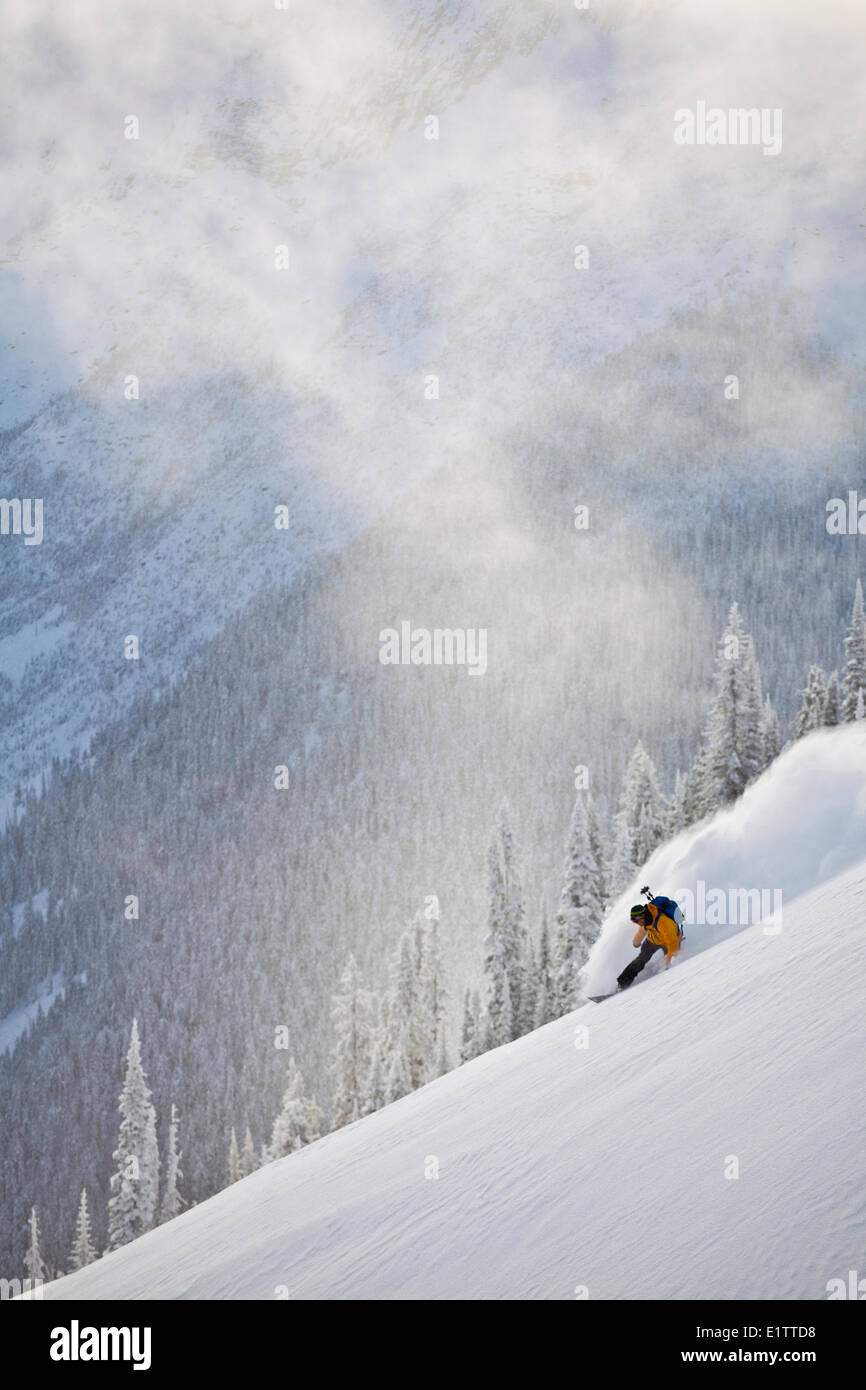 Un maschio splitboarder snow surf la polvere perfetta di Roger's Pass, il Parco Nazionale di Glacier, BC Foto Stock