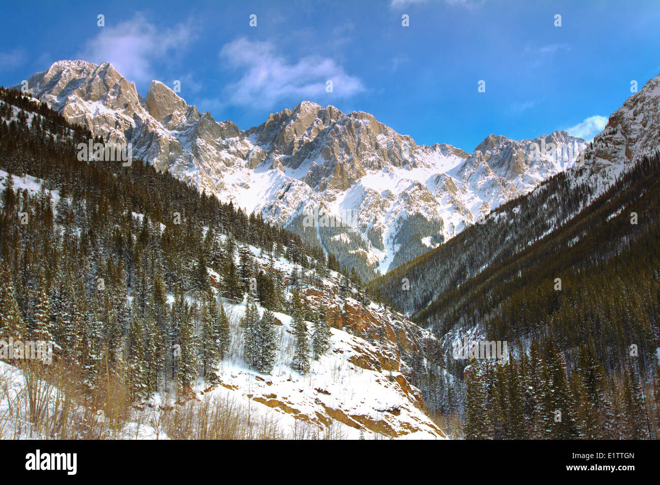 Il cofano Creek, Peter Lougheed Parco Provinciale, Alberta, Canada Foto Stock