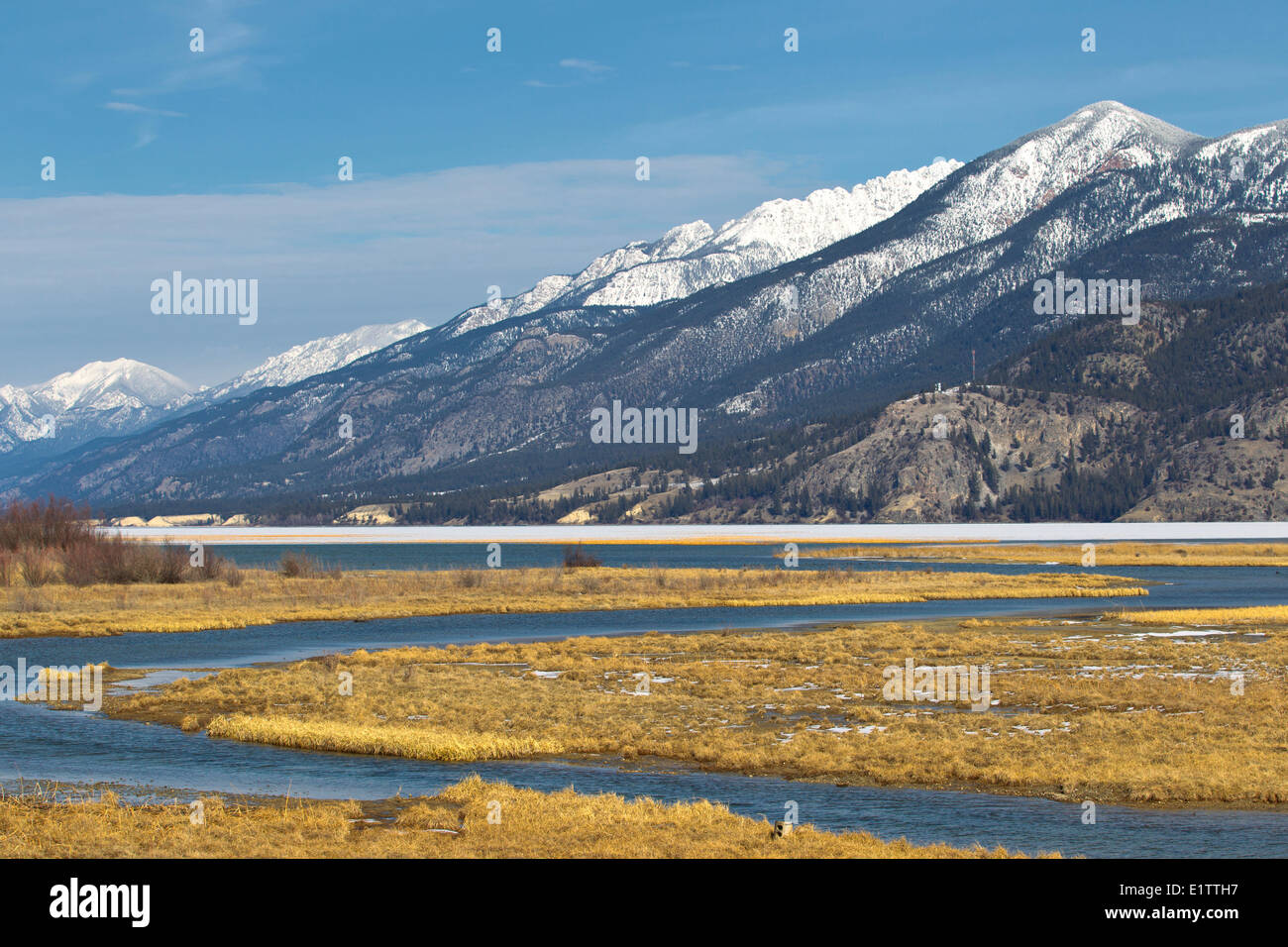 Canal appartamenti con Est kootney montagne che salgono sopra il lago di Columbia, British Columbia, Canada Foto Stock