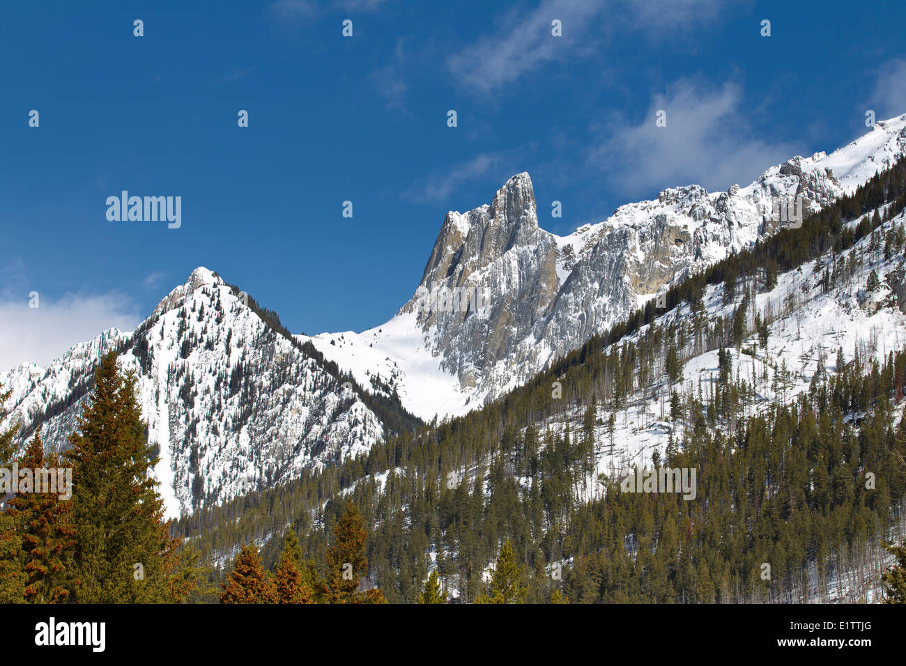 Sawback montagne in inverno, il Parco Nazionale di Banff, Bow Valley Parkway, Alberta, Canada Foto Stock