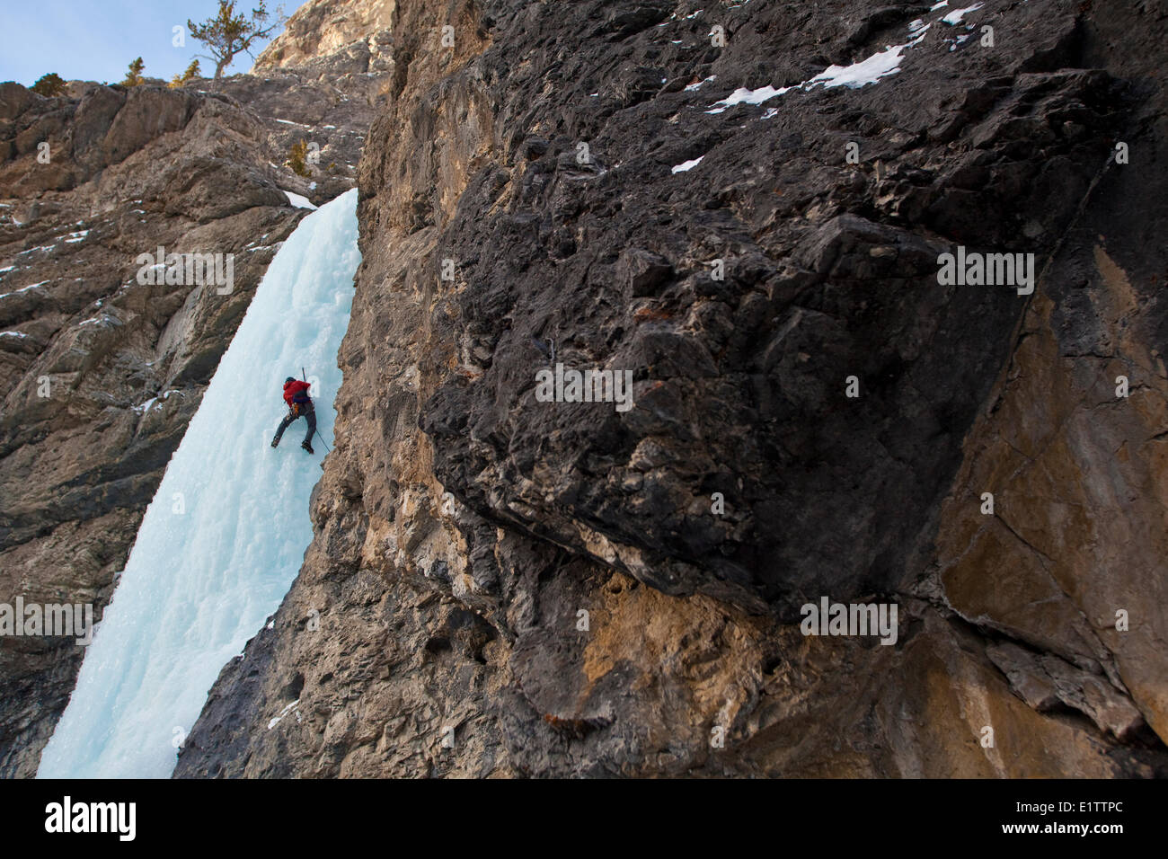 Un maschio ice climber sul sogno su WI 4, Red Deer River, AB Foto Stock