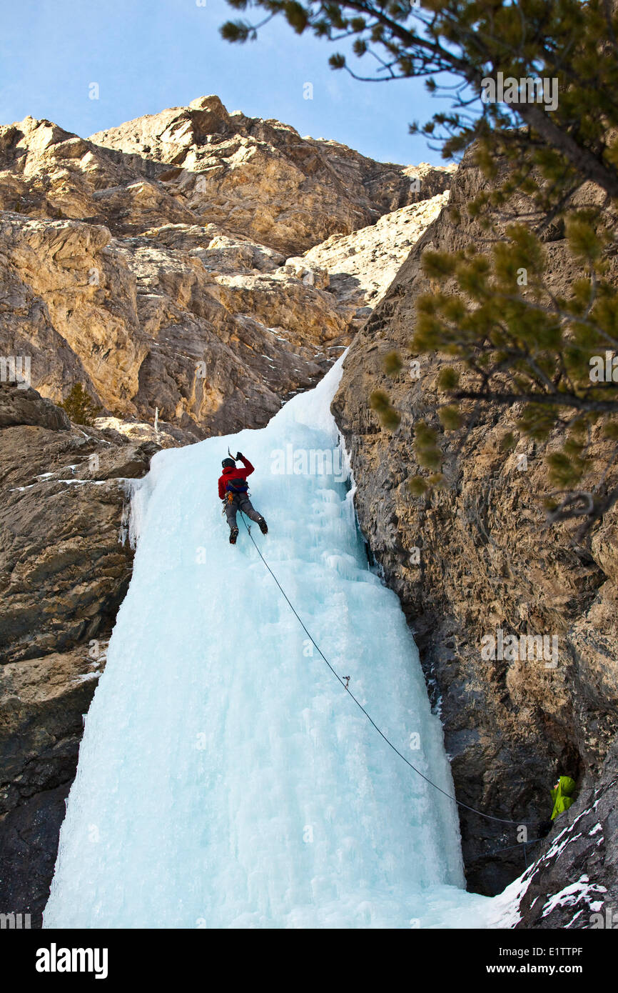 Un maschio ice climber sul sogno su WI 4, Red Deer River, AB Foto Stock