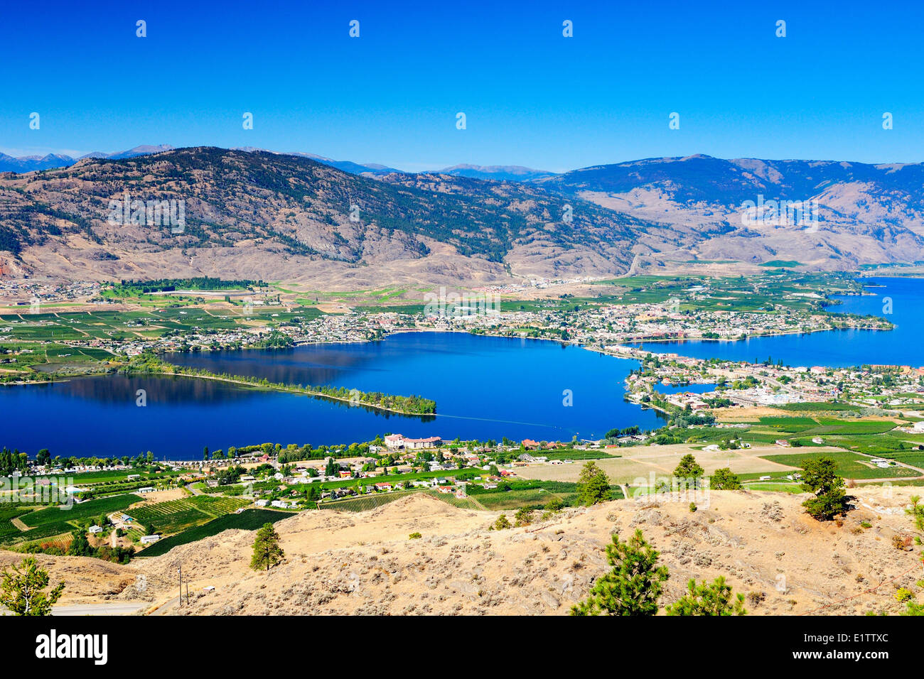 Viste di Haynes Punto Parco Provinciale, il Deserto area intorno Osoyoos e Osoyoos Lake in Osoyoos, BC. Foto Stock