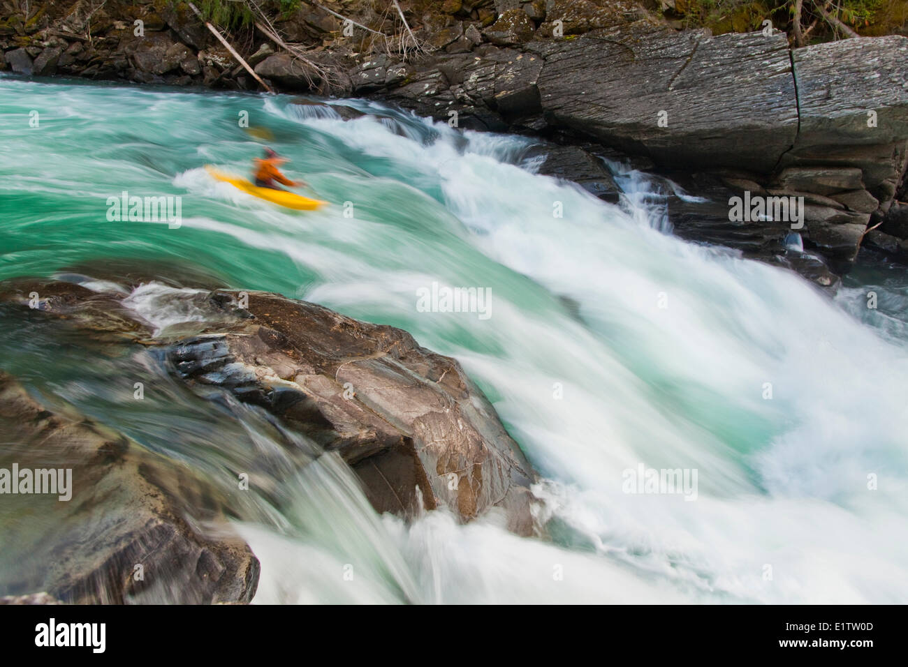 Un maschio di kayaker scende in un grande veloce sul fiume Fraser, Mt Robson Provincial Park, BC Foto Stock