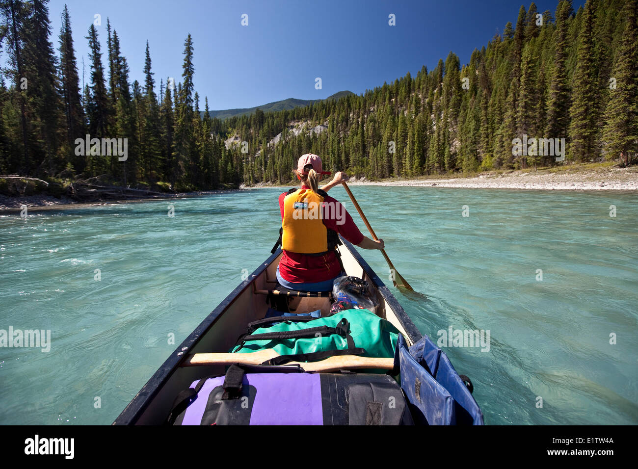 Donna paddling in prua di canoa sul fiume Kootenay, Kootenay National Park, BC, Canada. Foto Stock