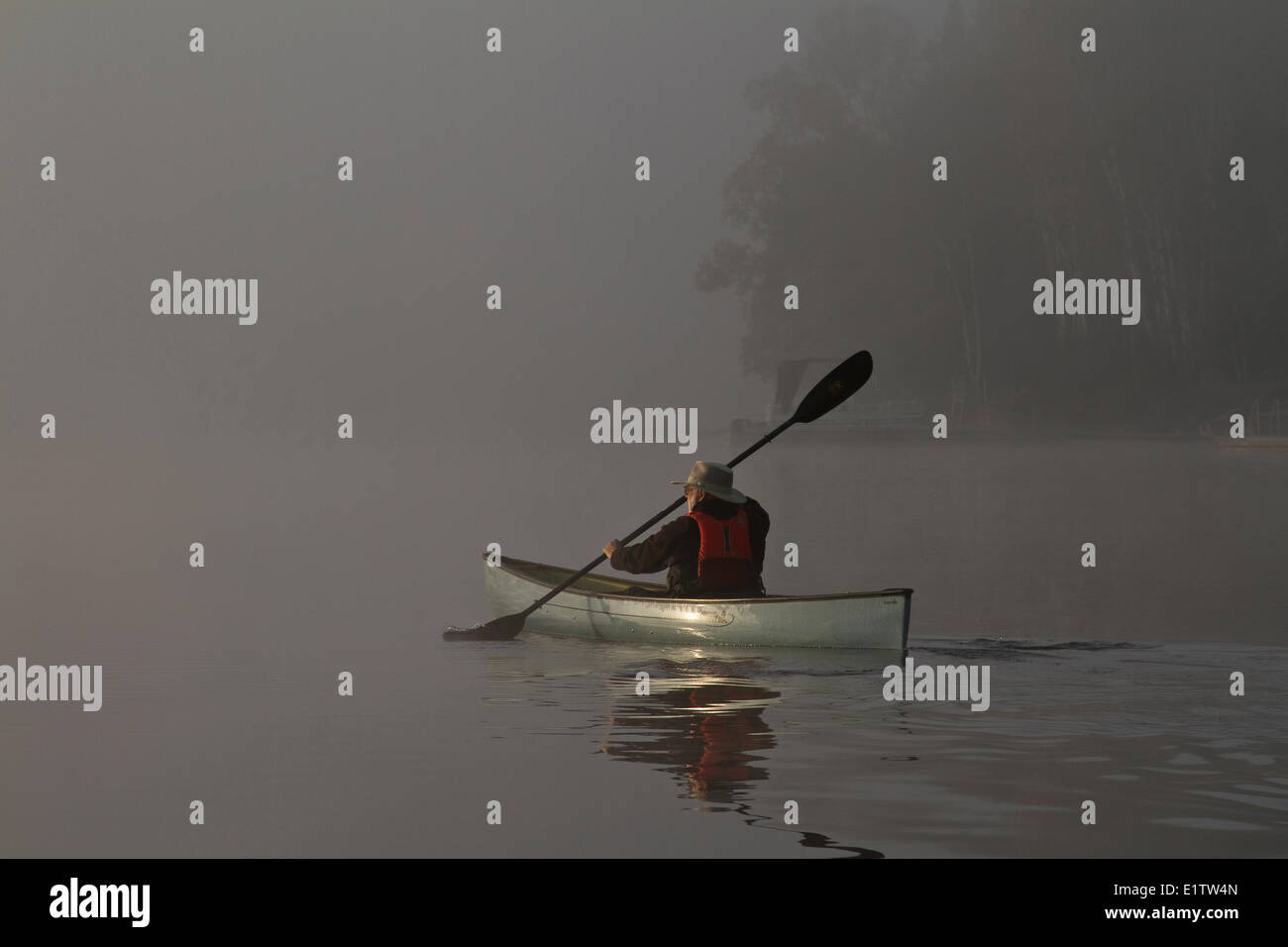 L'uomo pagaie assolo di canoa sul lago Oxtongue, Muskoka, Ontario. Foto Stock