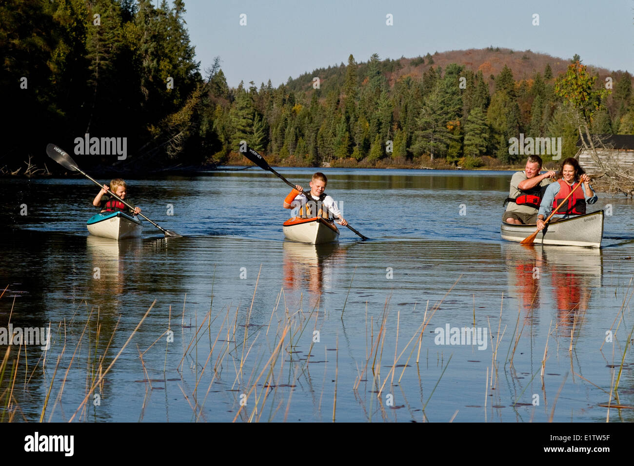 Famiglia canottaggio sul lago di origine, Algonquin Park, Ontario, Canada. Foto Stock
