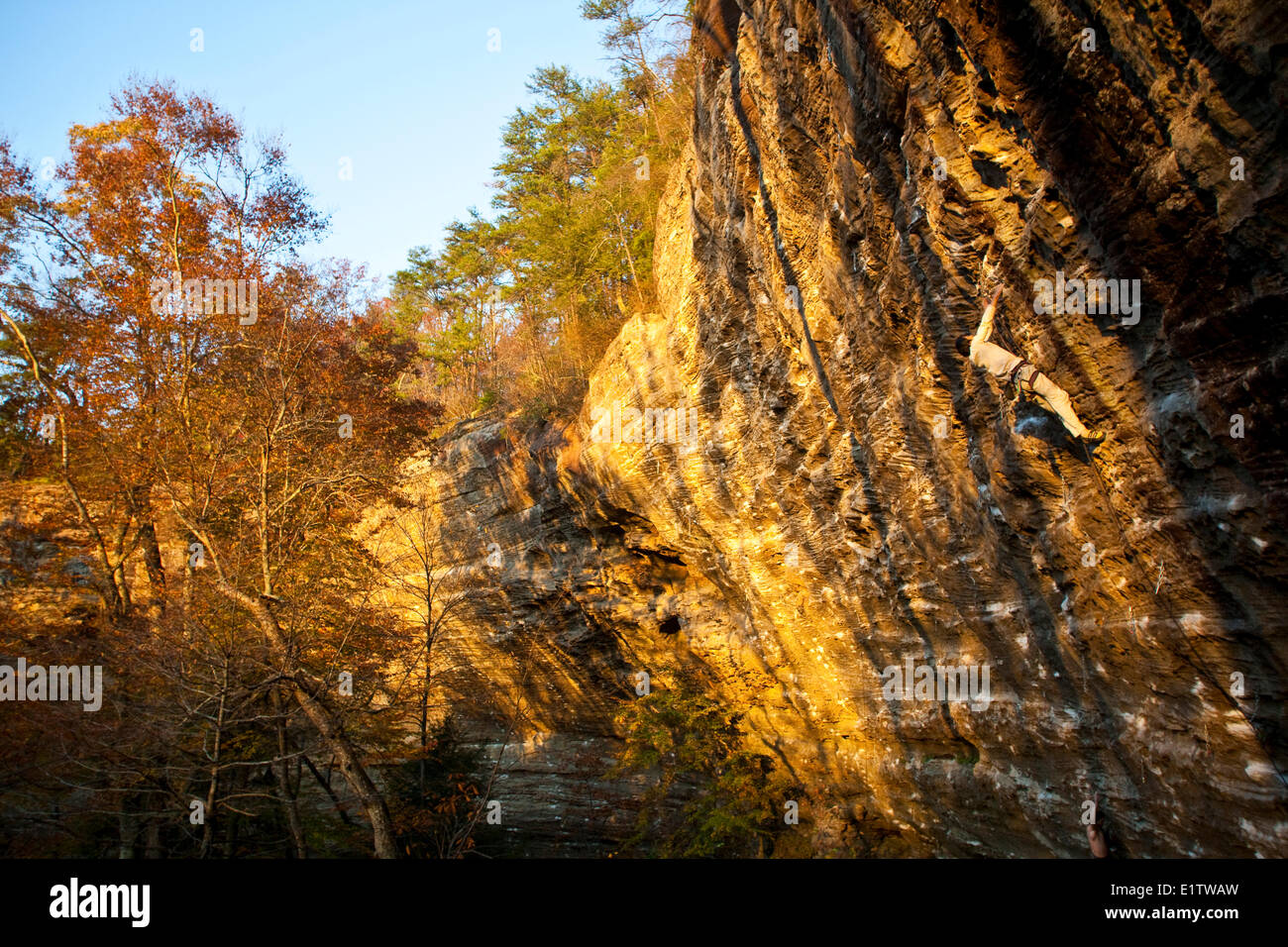 Un uomo si arrampica alla parete Motherlode in autunno. Red River Gorge, Kentucky Foto Stock