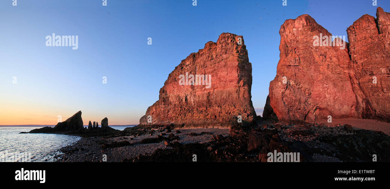 Cape Split formazione di rocce e dirupi, illuminate al tramonto e la bassa marea lungo Nova Scotia la Baia di Fundy coast Foto Stock