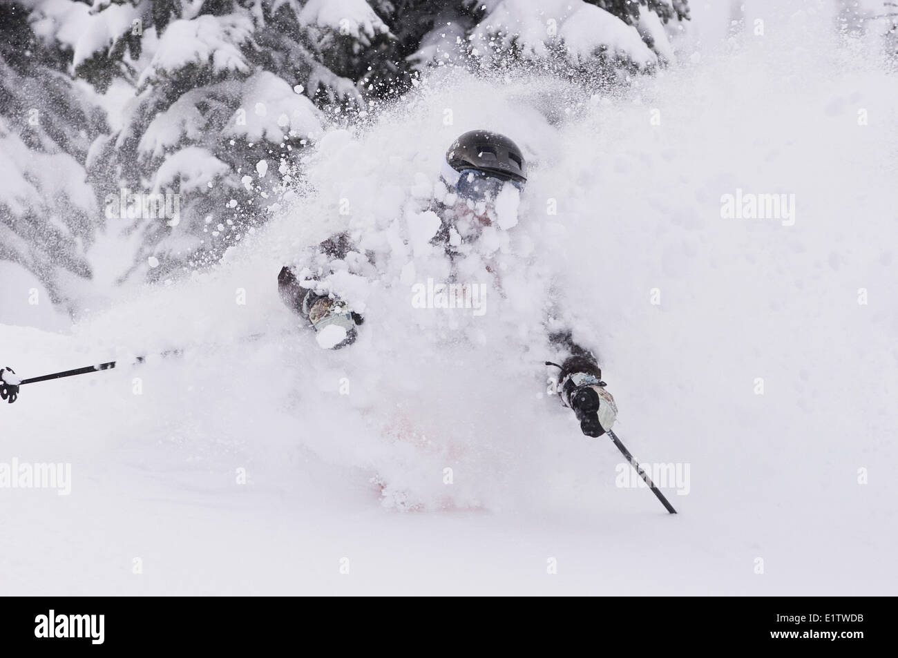 Giovane donna sci polvere profonda al Fernie Alpine Resort, Fernie, BC, Canada. Foto Stock
