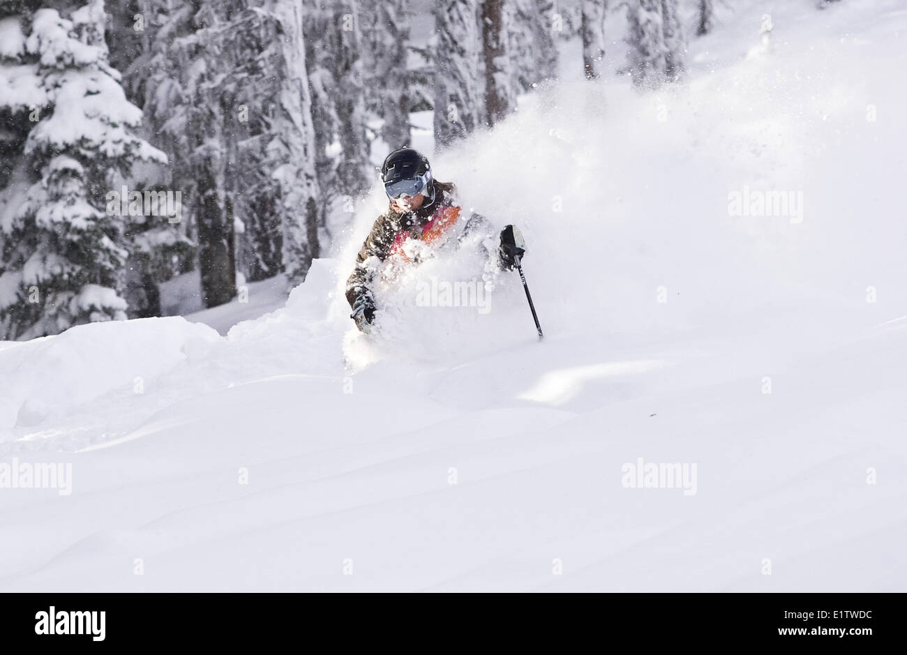 Giovane donna sci polvere profonda al Fernie Alpine Resort, Fernie, BC, Canada. Foto Stock