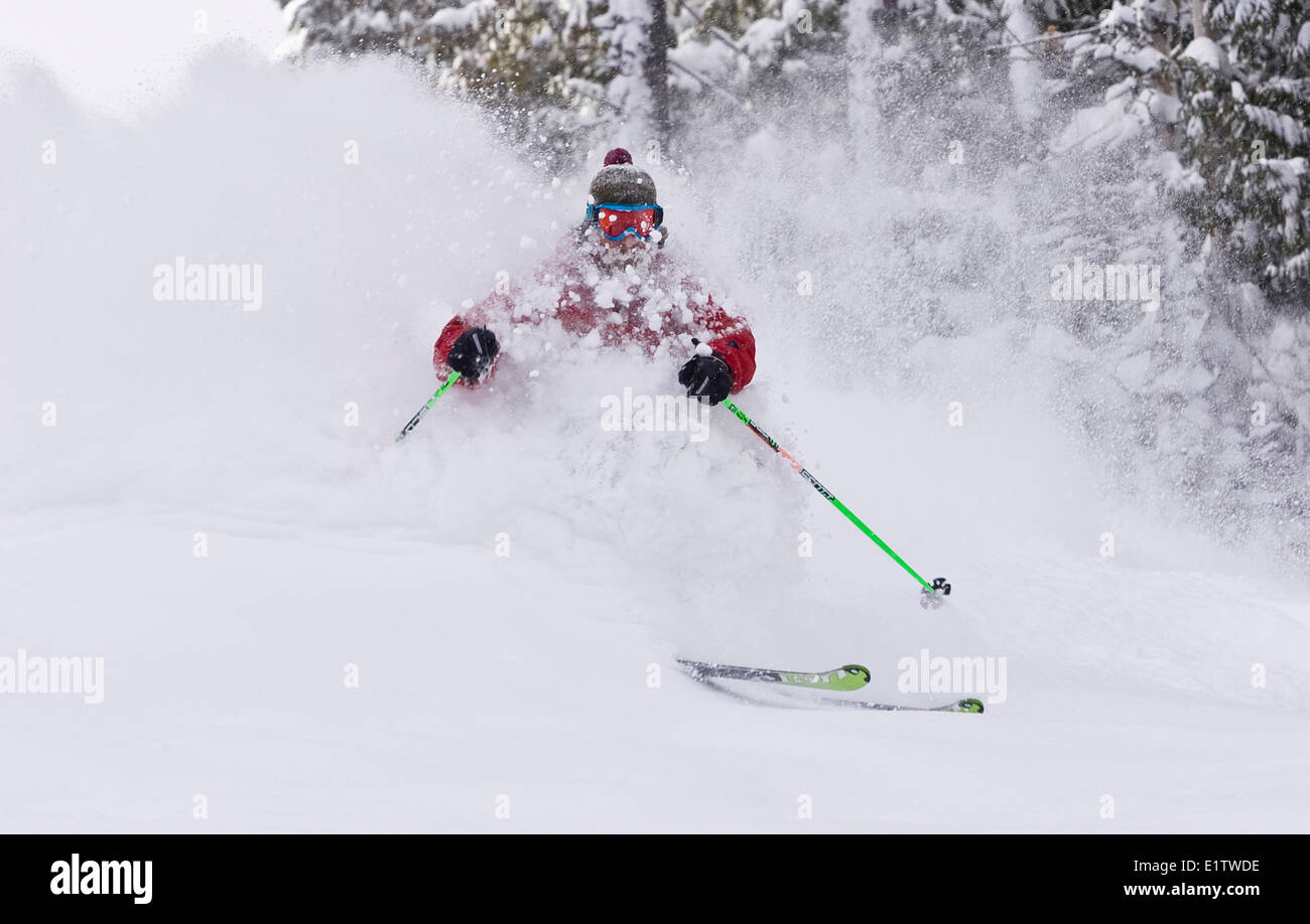 Uomo Barbuto sci polvere profonda al Fernie Alpine Resort, Fernie, BC, Canada. Foto Stock