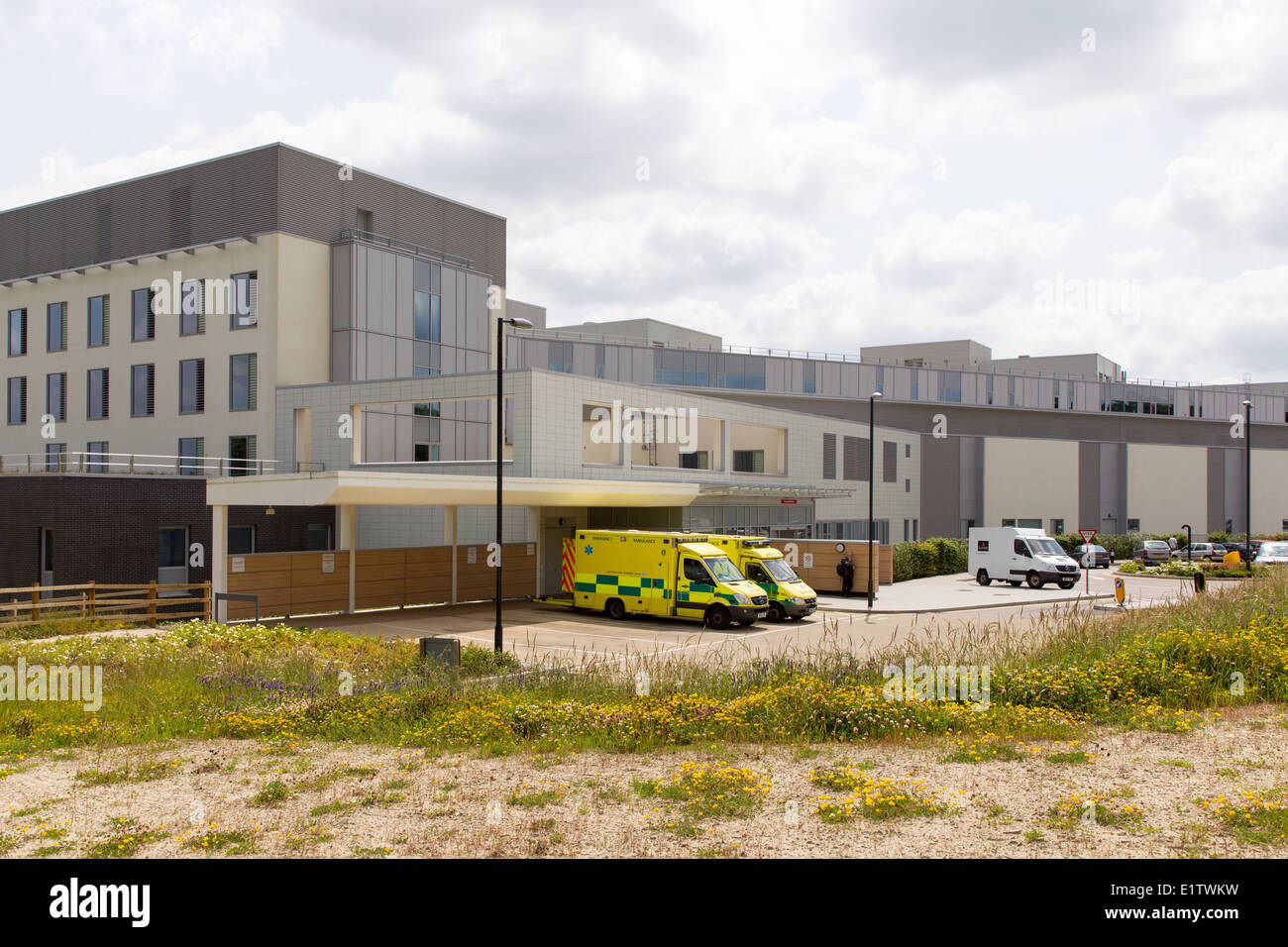Il NHS Royal Tunbridge Wells ospedale al Pembury Maidstone & Trust Foto Stock