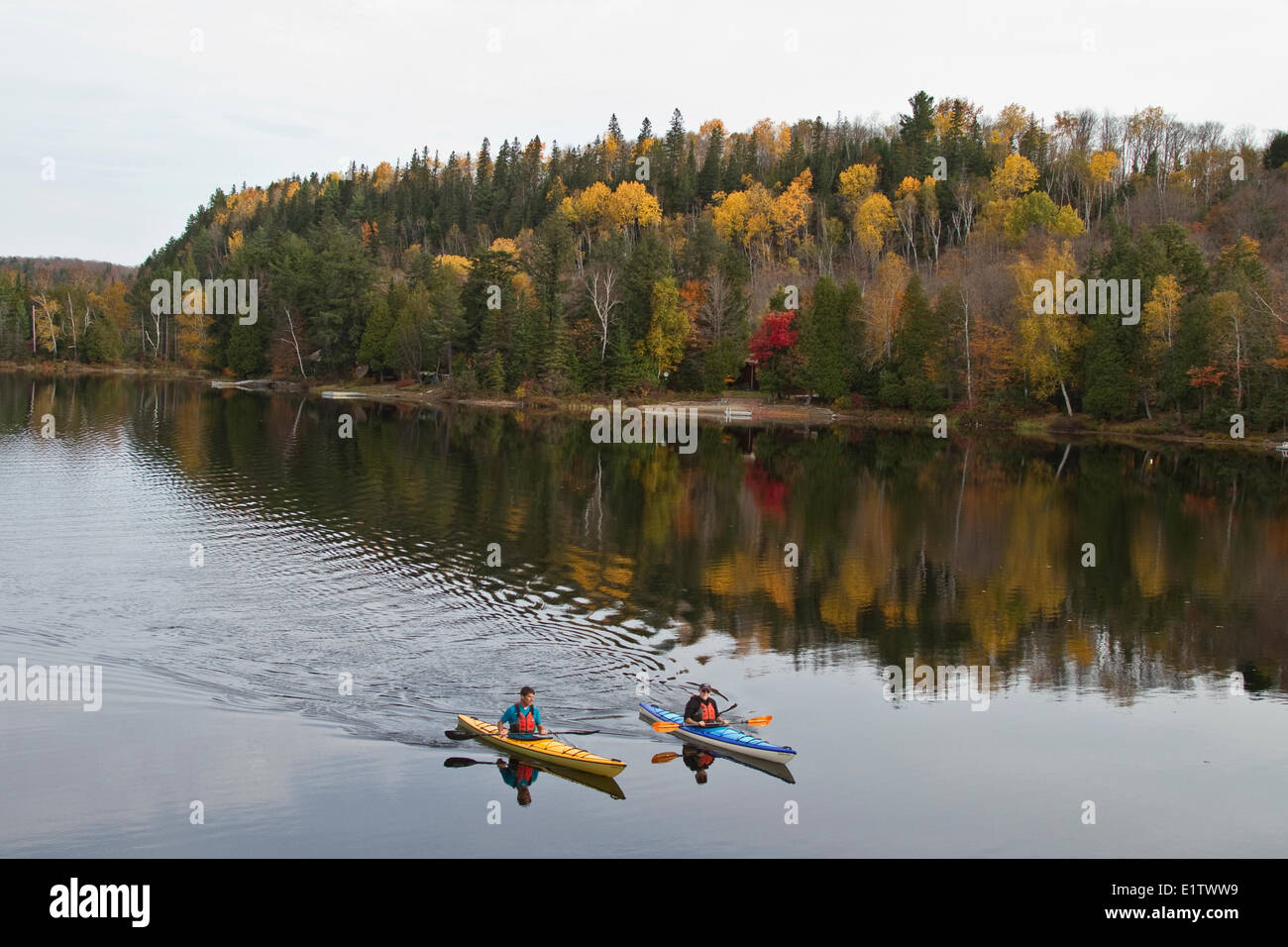 Due uomini paddle kayak sul lago Oxtongue, Muskoka, Ontario, Canada. Foto Stock