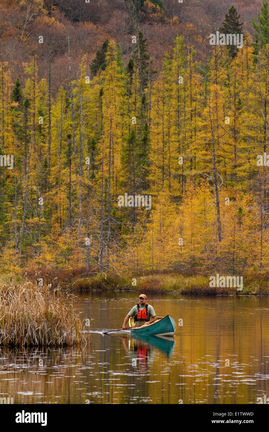L'uomo pagaie canoa sul ancora acqua di ruscello nel nordovest della fine del Algonquin Park, Ontario, Canada. Foto Stock