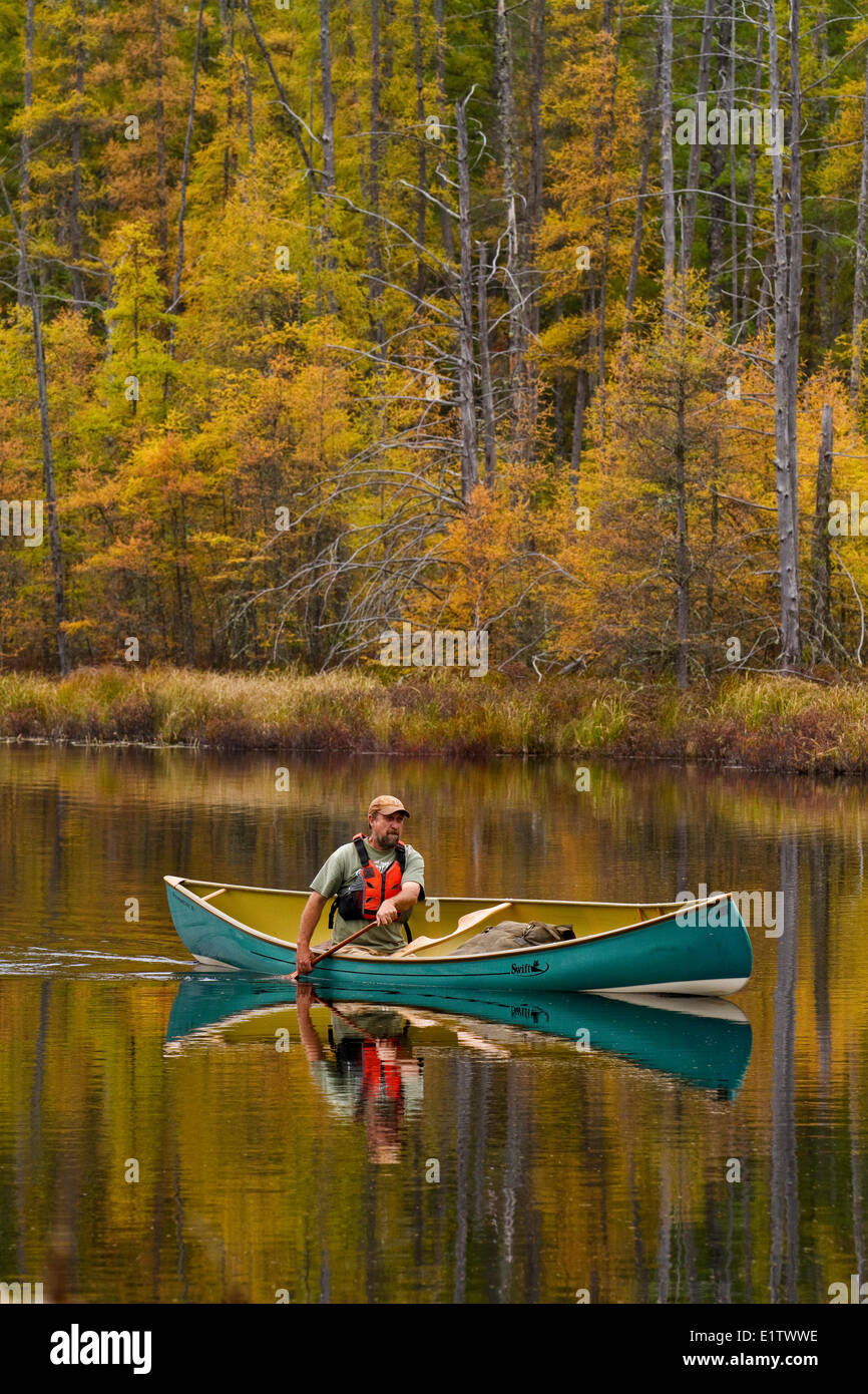 L'uomo pagaie canoa sul ancora acqua di ruscello nel nordovest della fine del Algonquin Park, Ontario, Canada. Foto Stock