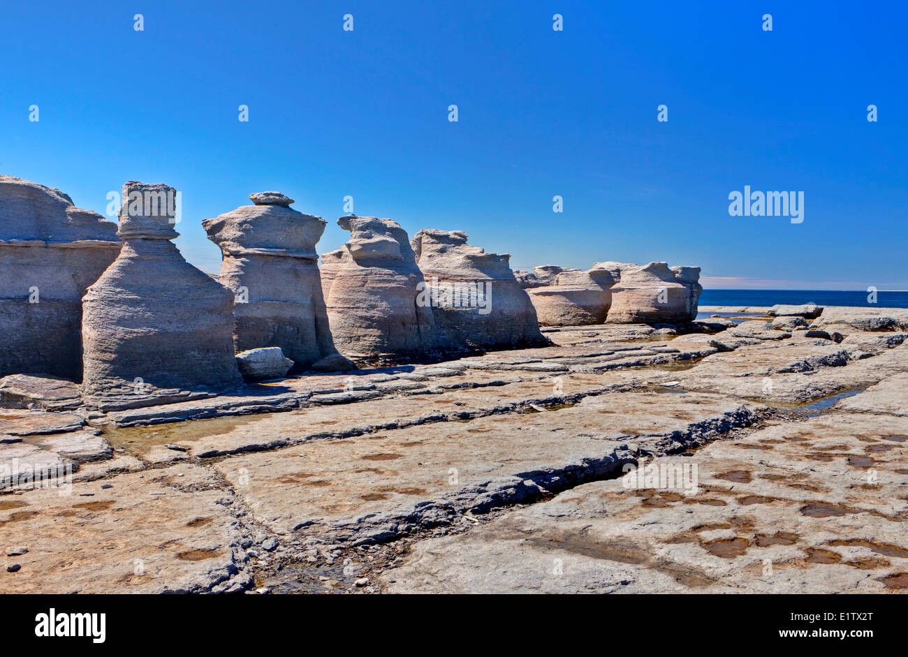 Arcipelago di Mingan Parco nazionale di riserva de Parc National de l'Archipel de Mingan Duplessis Northshore St Lawrence Cote Nord Foto Stock