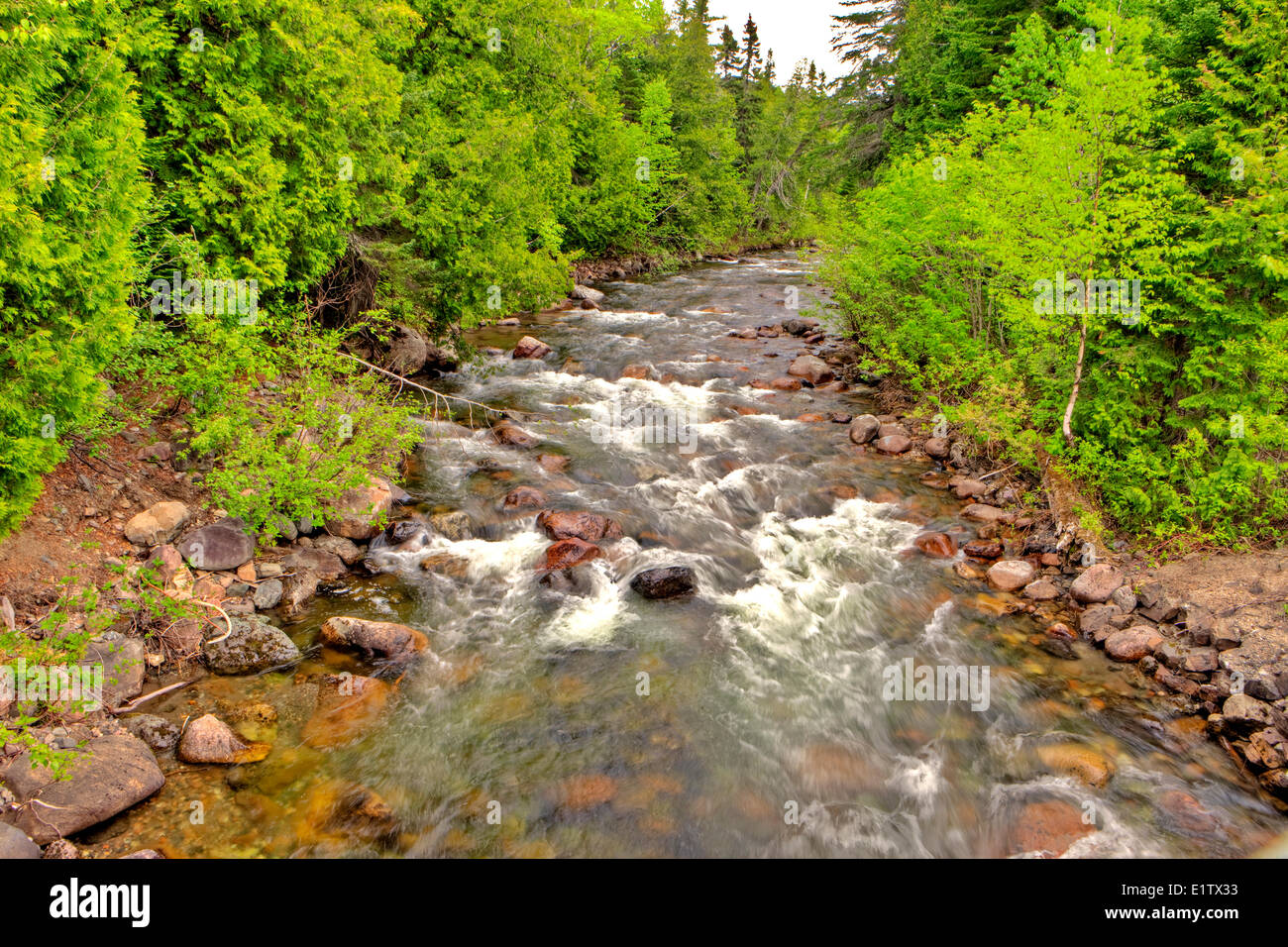 Mountain Creek, Parc de La Gaspesie, Gaspe, Quebec, Canada Foto Stock