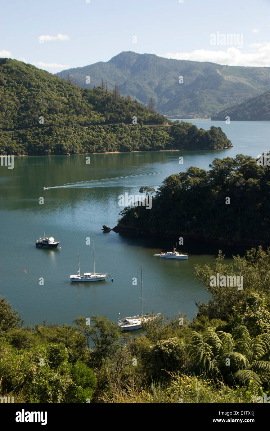 Barche ormeggiate nella baia, sotto le colline, Marlborough Sounds, Isola del Sud, Nuova Zelanda Foto Stock