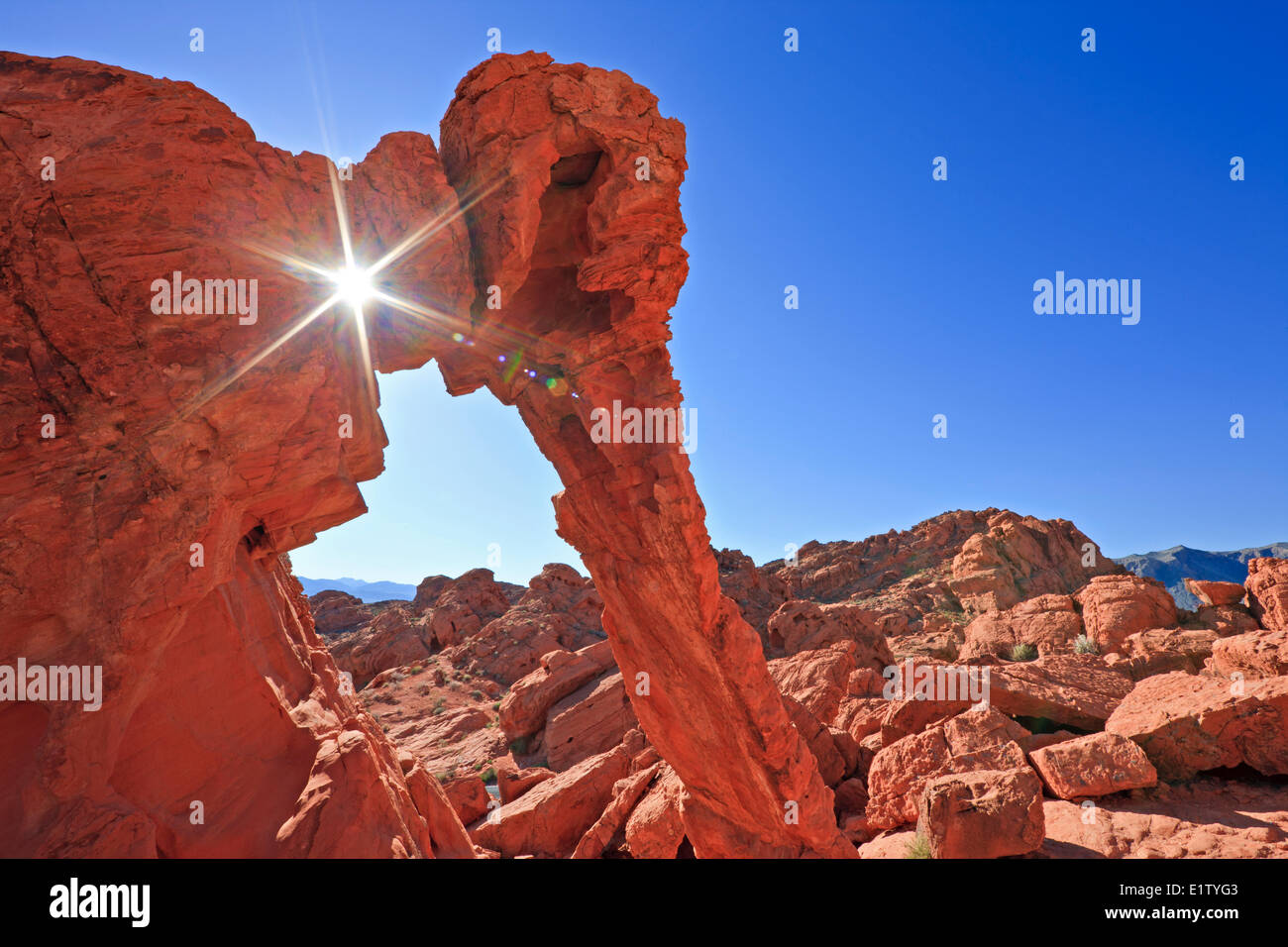 Elephant Rock, la Valle del Fuoco del parco statale, Nevada, STATI UNITI D'AMERICA Foto Stock