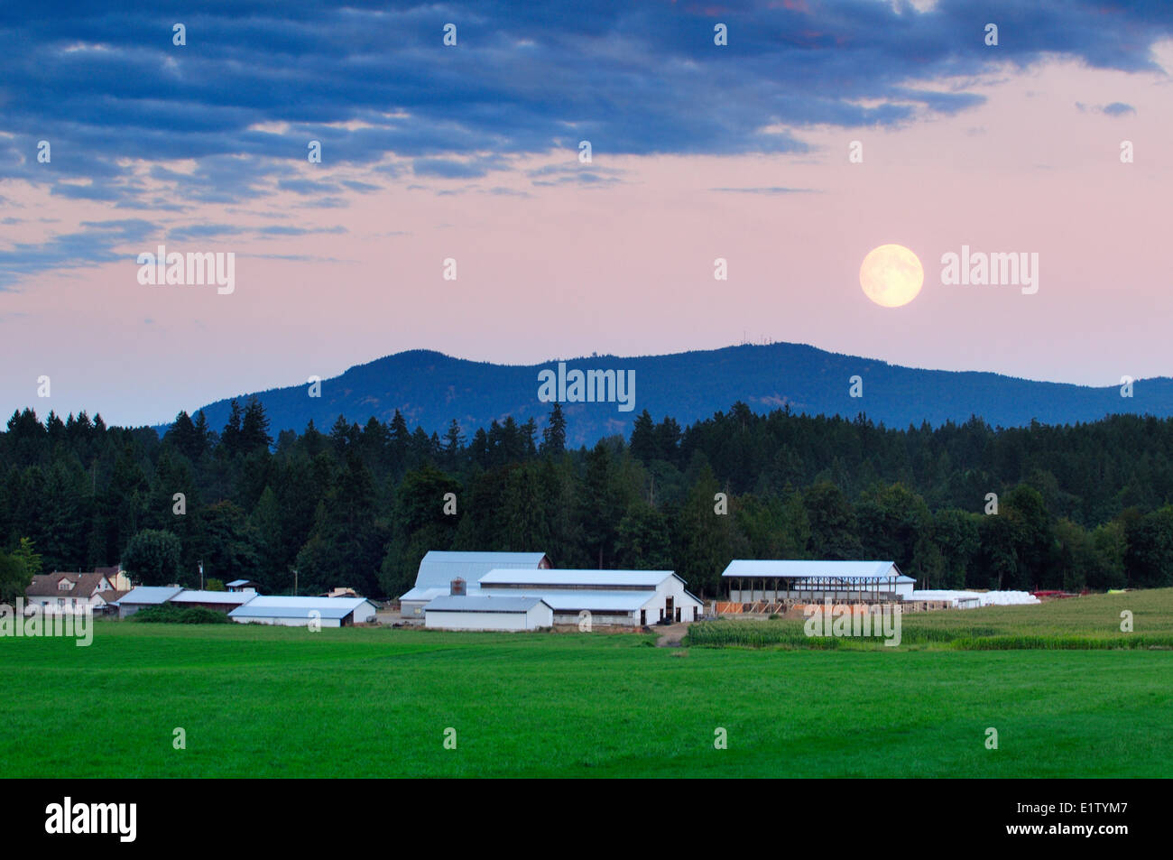 La luna piena sorge su una fattoria nella stazione di Cowichan, vicino a Duncan, BC. Foto Stock