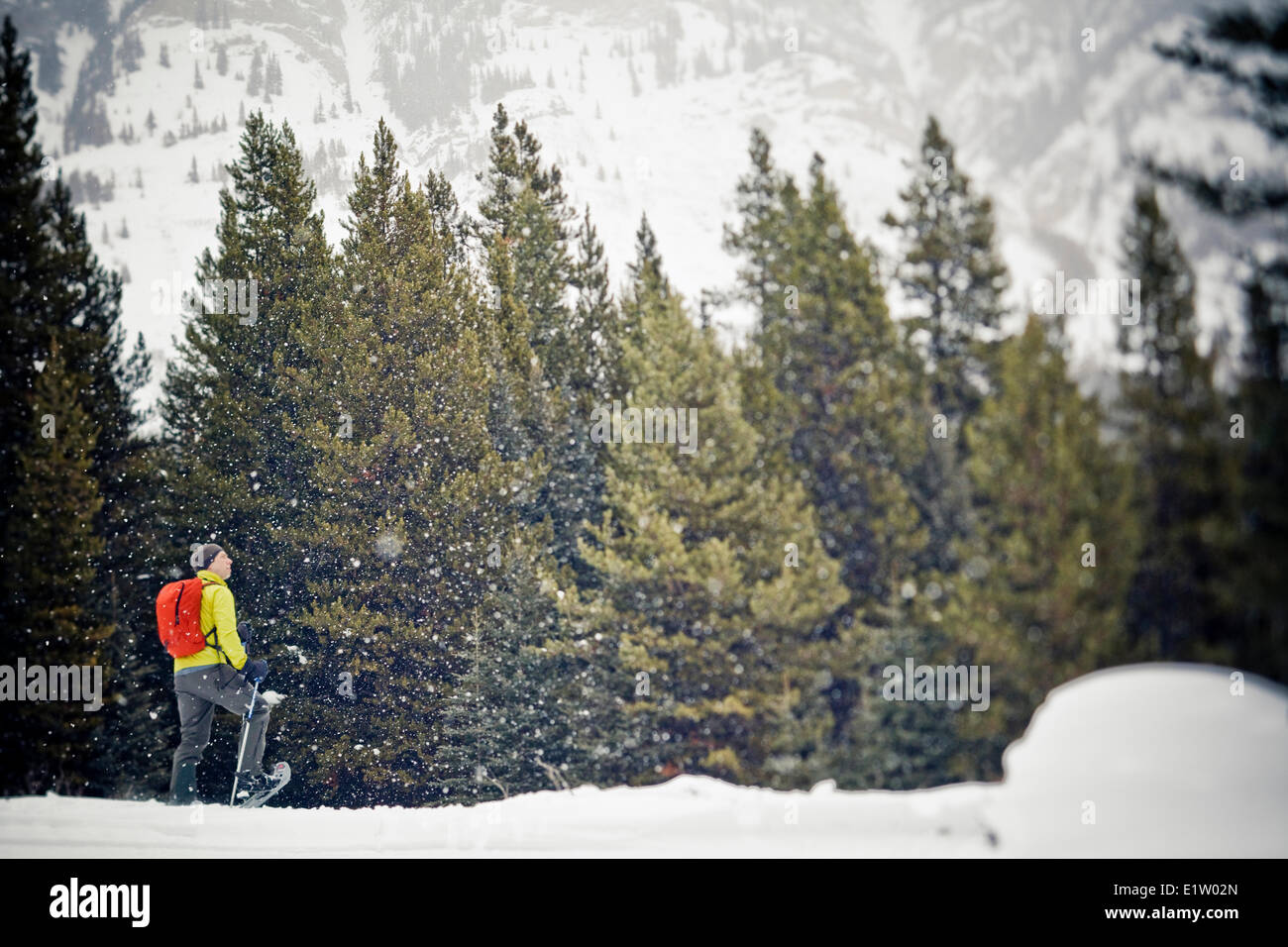 Un giovane uomo di fare escursioni con le racchette da neve a Peter Lougheed Parco Provinciale, Kananaskis AB Foto Stock