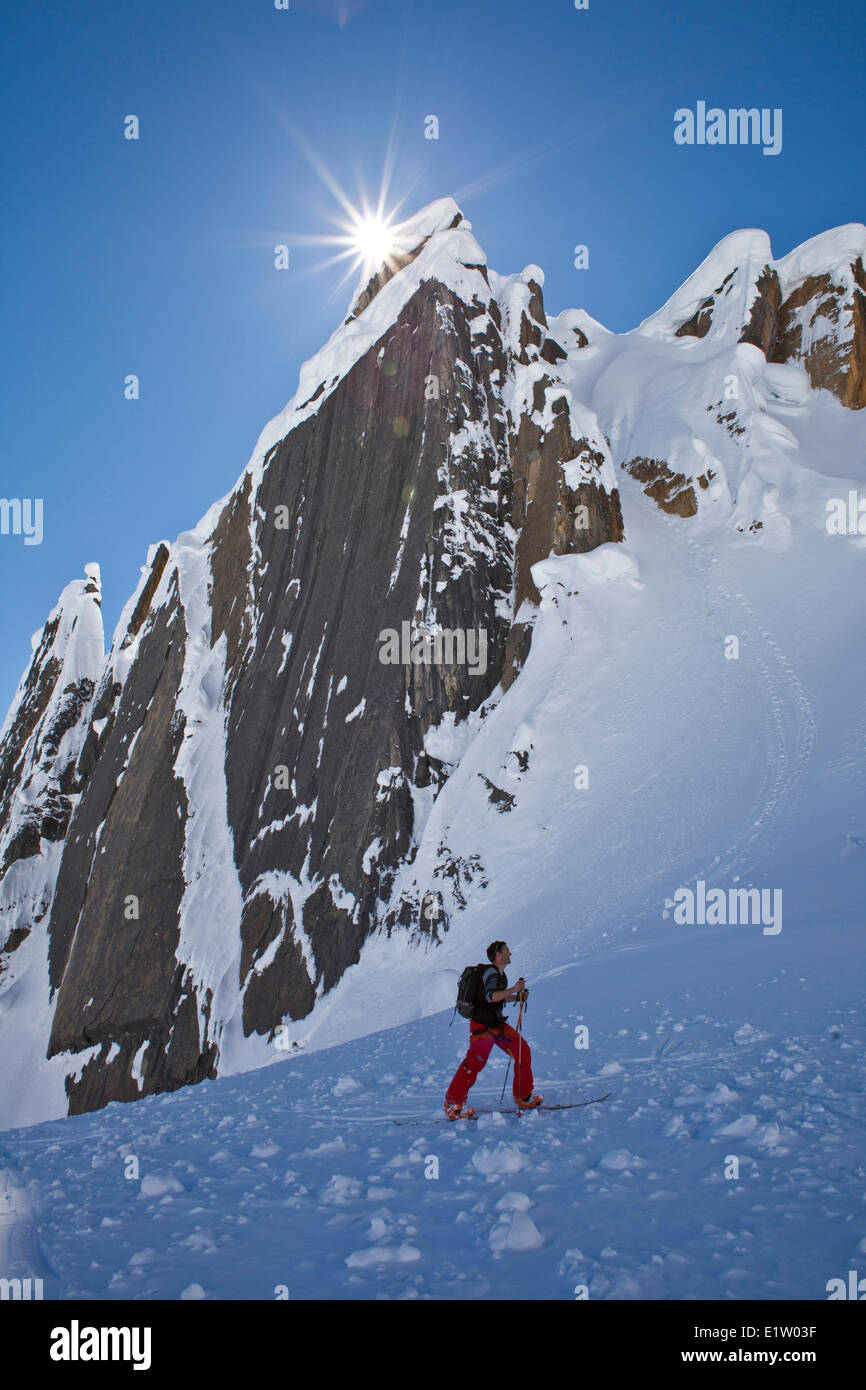 Un maschio splitboarder touring su un ghiacciaio, ghiacciaio Lodge, Canadian Rockies, Golden, BC Foto Stock
