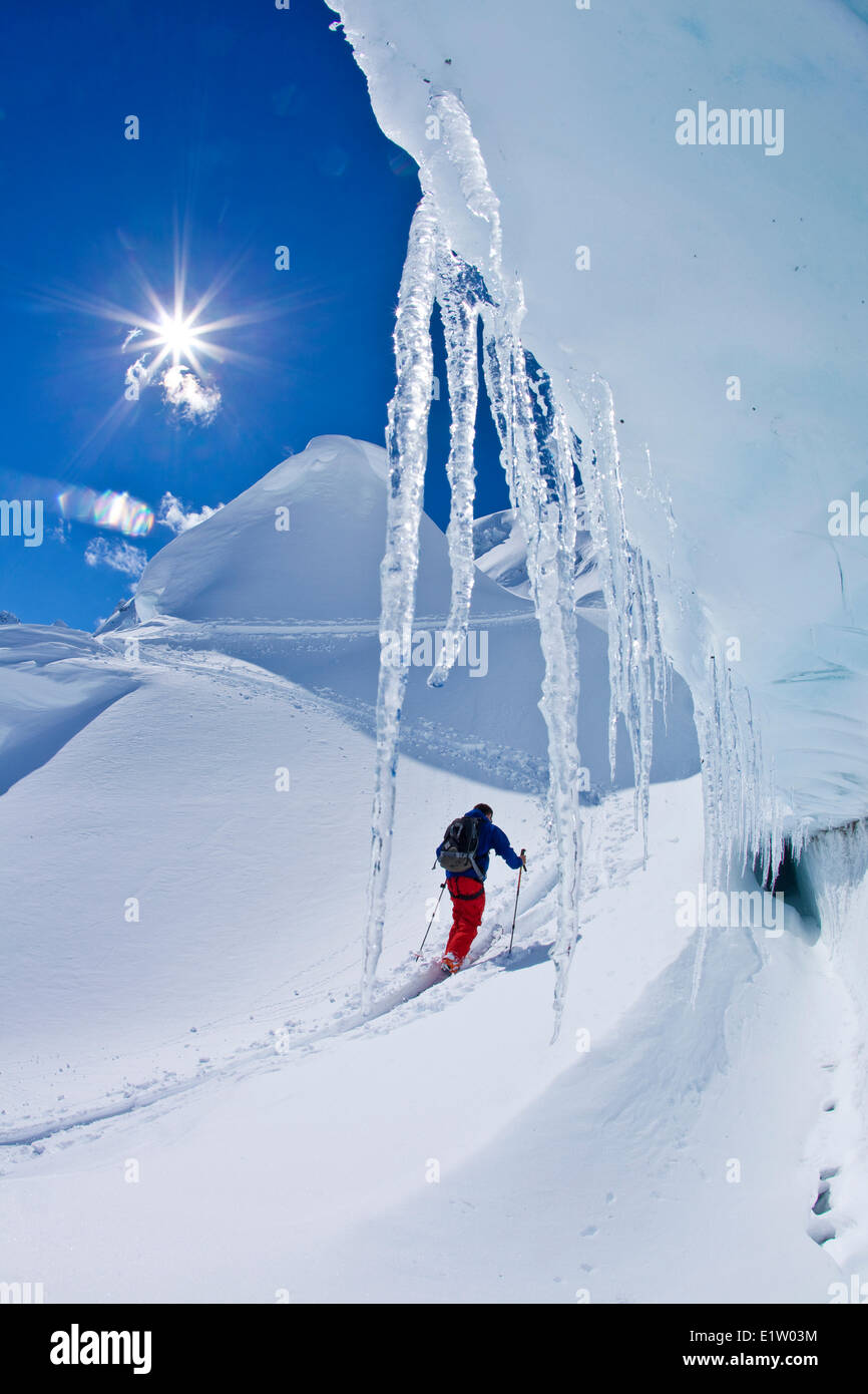 Un splitboarder touring fino a fortemente crevassed ghiacciaio al ghiacciaio Lodge, Canadian Rockies, Golden, BC Foto Stock