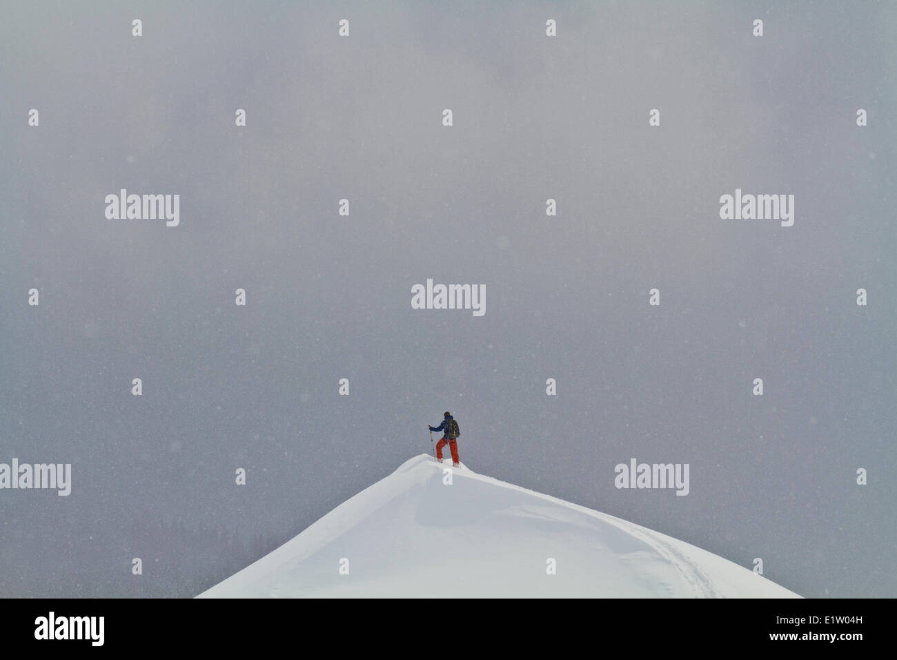 Un maschio splitboarder touring in alpine attorno al ghiacciaio Lodge, Golden, BC Foto Stock