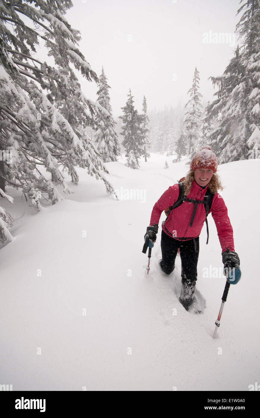 Escursioni con le racchette da neve su Howe Sound Crest Trail. Cypress Parco Provinciale. Cypress Bowl, West Vancouver, British Columbia, Canada Foto Stock