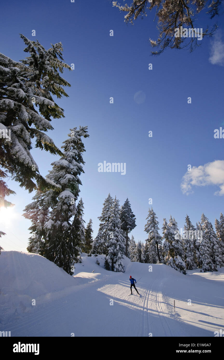 Nordic skate a sciare a Cypress Mountain ski area, Hollyburn Montagna. Cypress Bowl, West Vancouver. La British Columbia, Canada Foto Stock