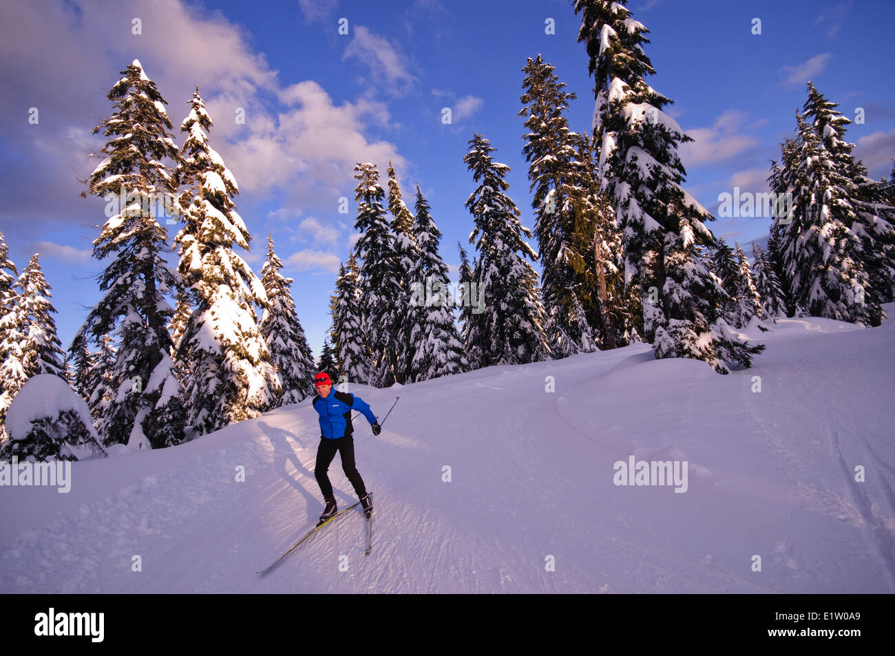 Nordic skate a sciare a Cypress Mountain ski area, Hollyburn Montagna. Cypress Bowl, West Vancouver. La British Columbia, Canada Foto Stock