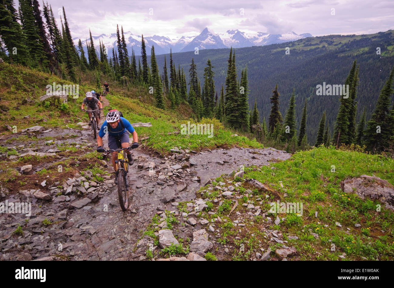 Mountain bike nel bacino Keystone-Standard. Revelstoke. Kootenay Rockies regione, British Columbia, Canada Foto Stock