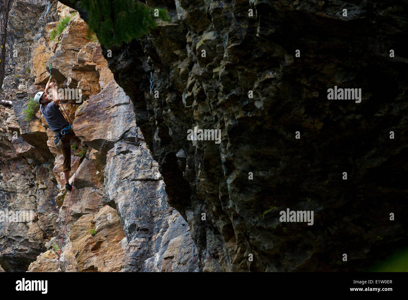 Un maschio di rocciatore salendo a Begbie Bluffs, Revelstoke, BC Foto Stock