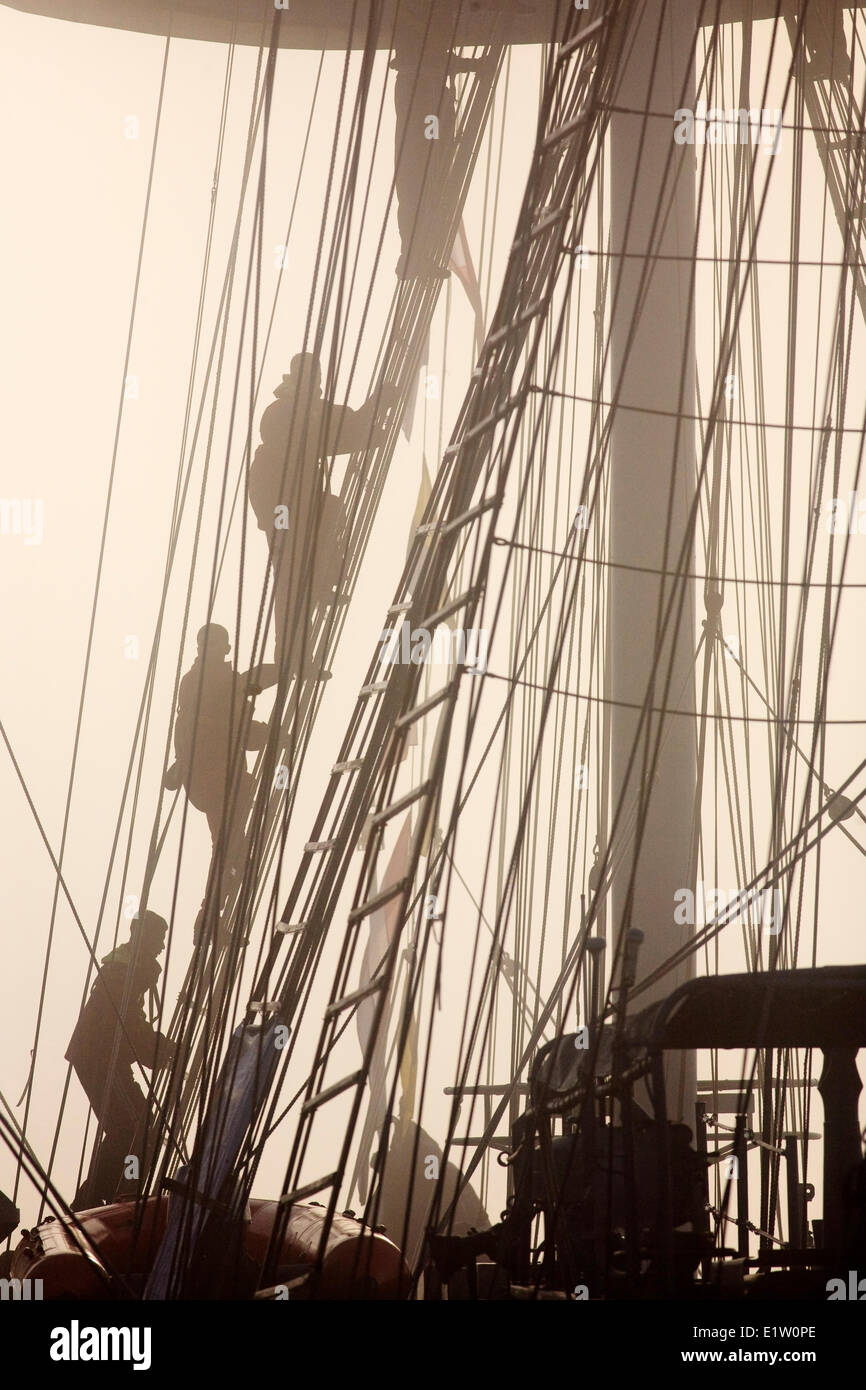 I marinai salire rigging su INS Tarangini nel porto di Halifax durante 2007 Tall Ships festival di Halifax, Nova Scotia. Foto Stock