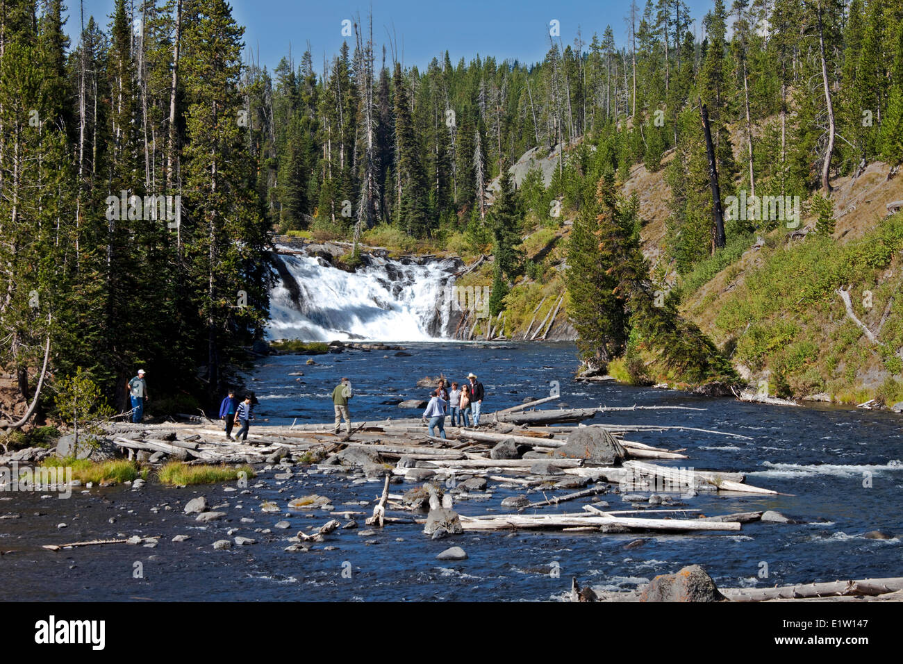Lewis scende, il Parco Nazionale di Yellowstone, Wyoming USA Foto Stock
