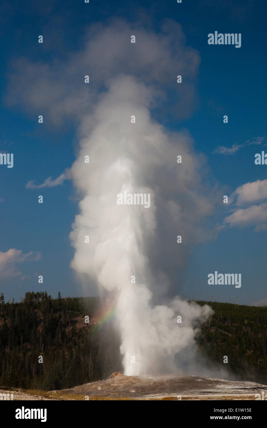 Vecchie fedeli eruzione, Upper Geyser Basin,il Parco Nazionale di Yellowstone, Wyoming USA Foto Stock