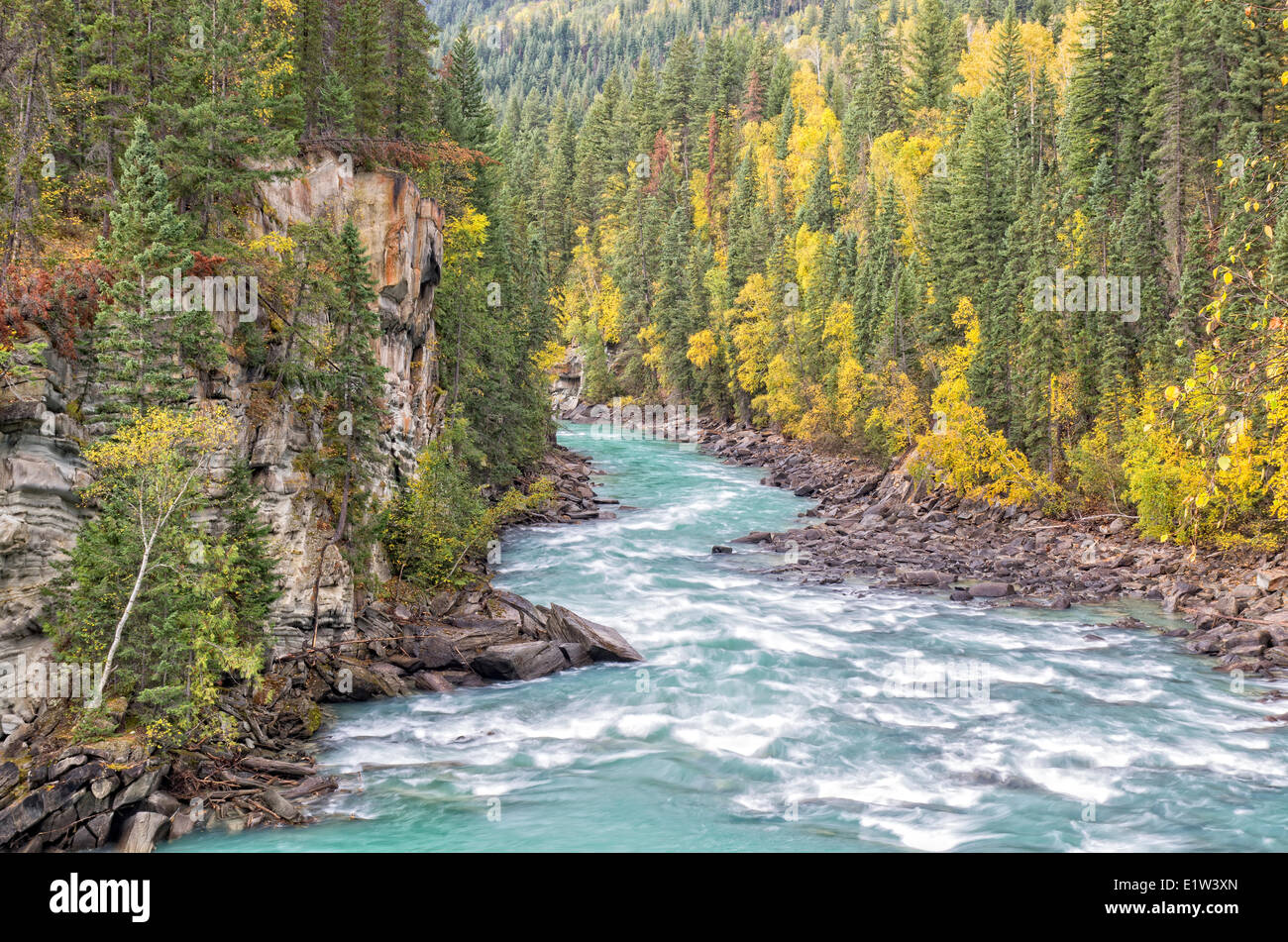 Fraser Fiume nella retroguardia cade Parco Provinciale vicino Valemount e Tete Jaune Cache in British Columbia, Canada. Foto Stock