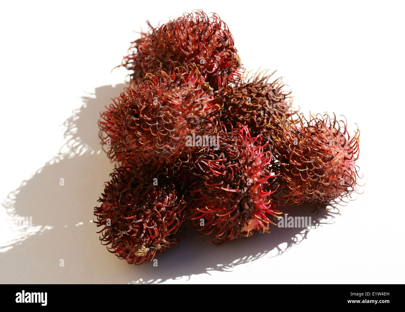 Frutti di rambutan, Nephelium lappaceum, Sapindaceae. Malaysia e Indonesia. Foto Stock