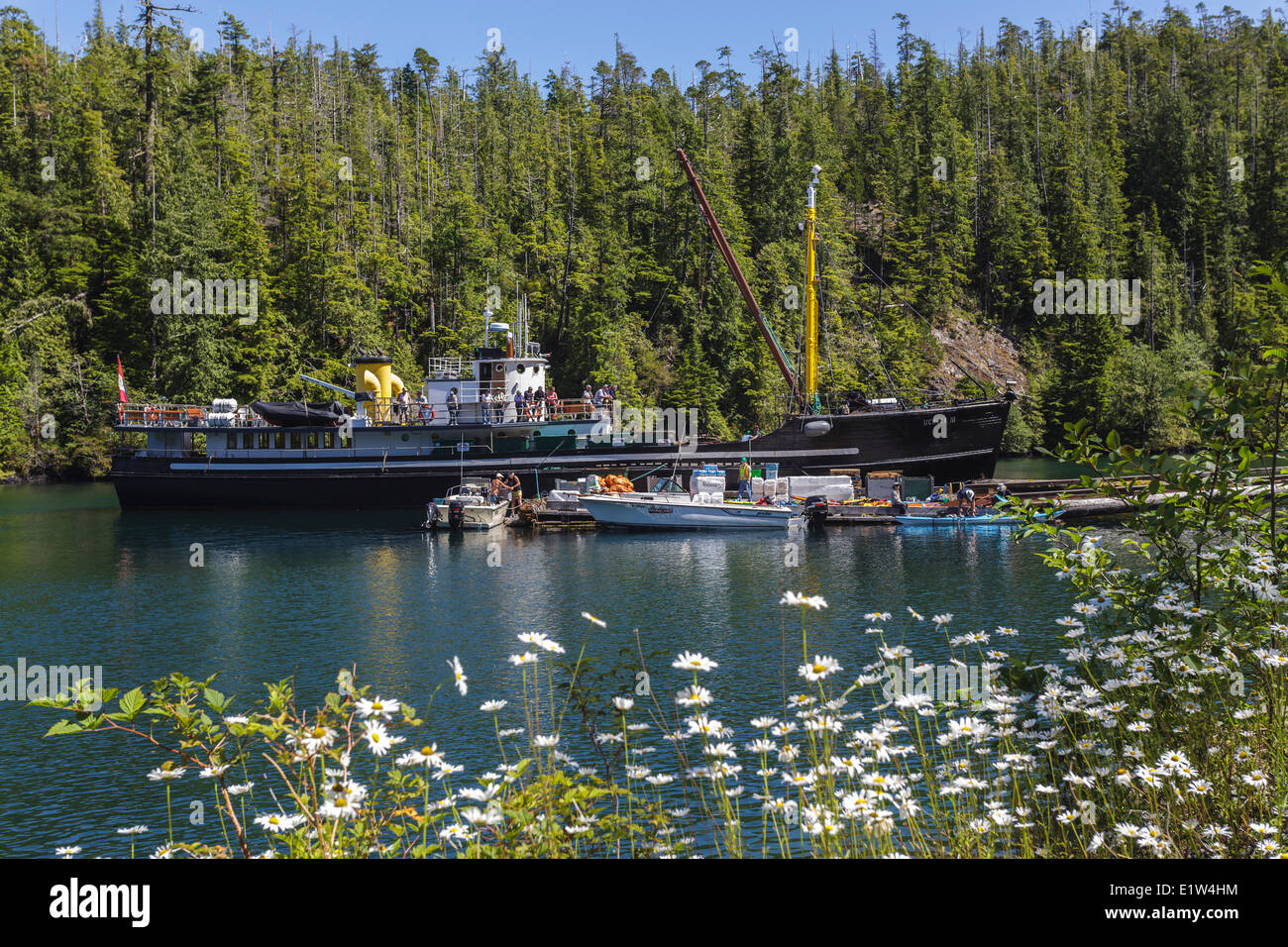 Il Uchuck 111 deposita un gruppo di kayakers porto Eliza sul British Columbia costa del Canada.Nessun rilascio Foto Stock