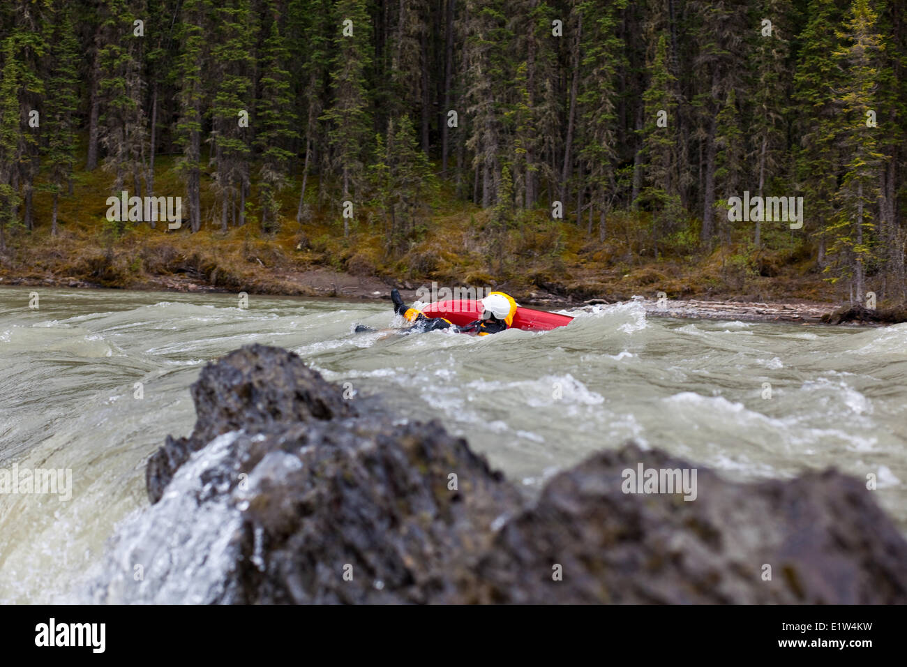 Una femmina di kayaker nuoto su un pericoloso veloce sul Red Deer River, AB Foto Stock
