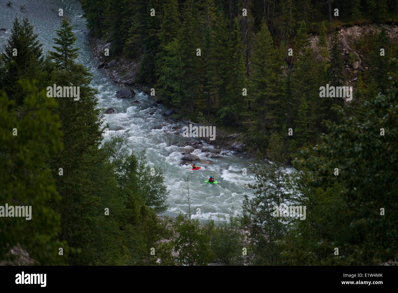 Un gruppo di rematori kayak sul White River, BC Foto Stock