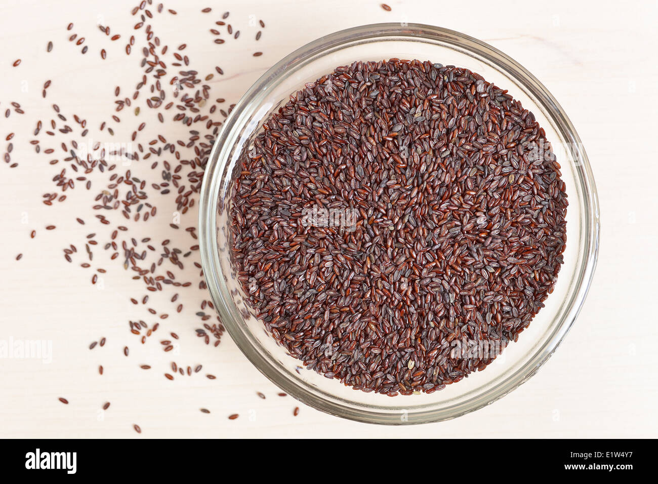 Seme dello Psyllium Foto Stock